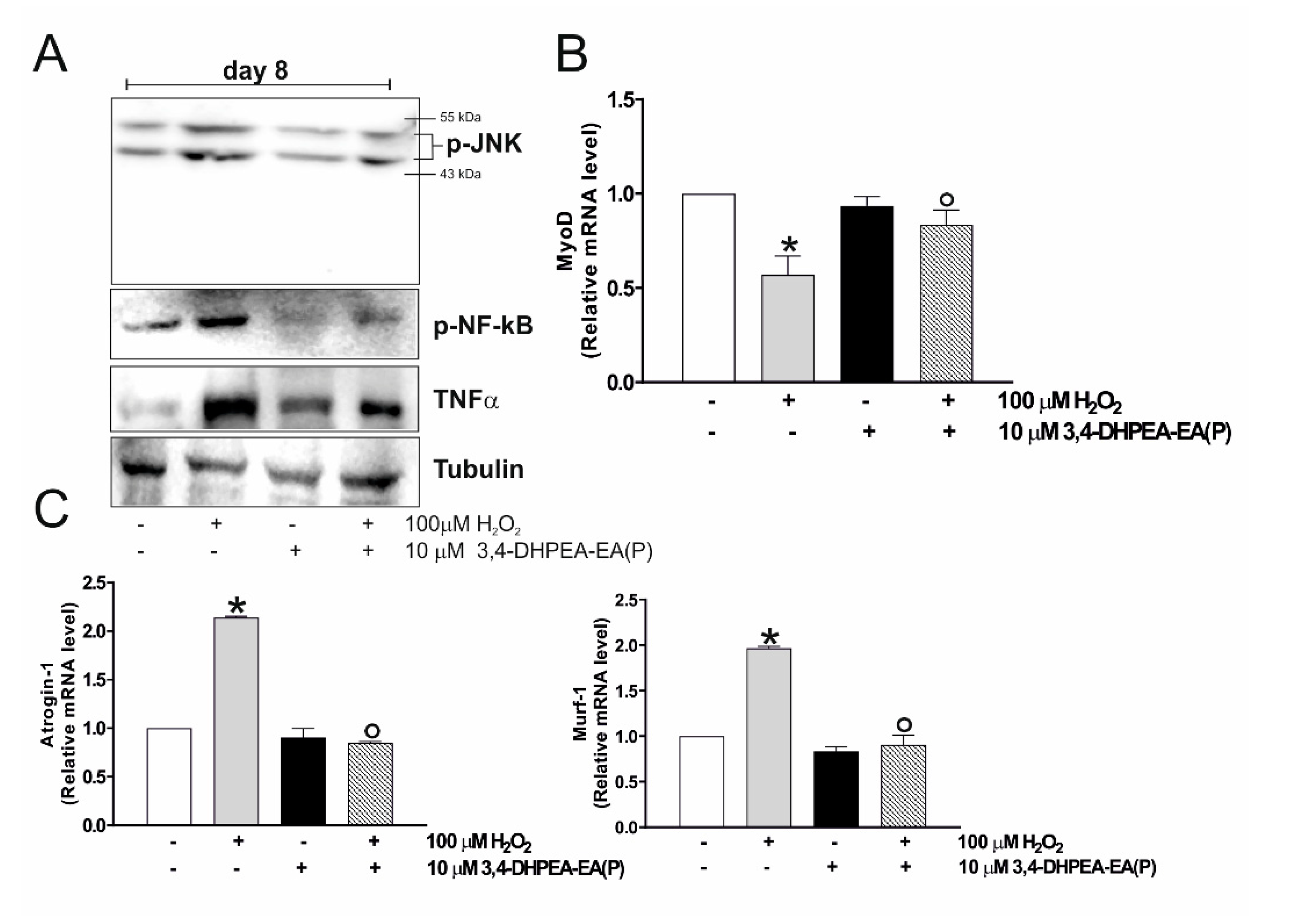 Molecules 25 05472 g005 Molecules 25 05472 g005