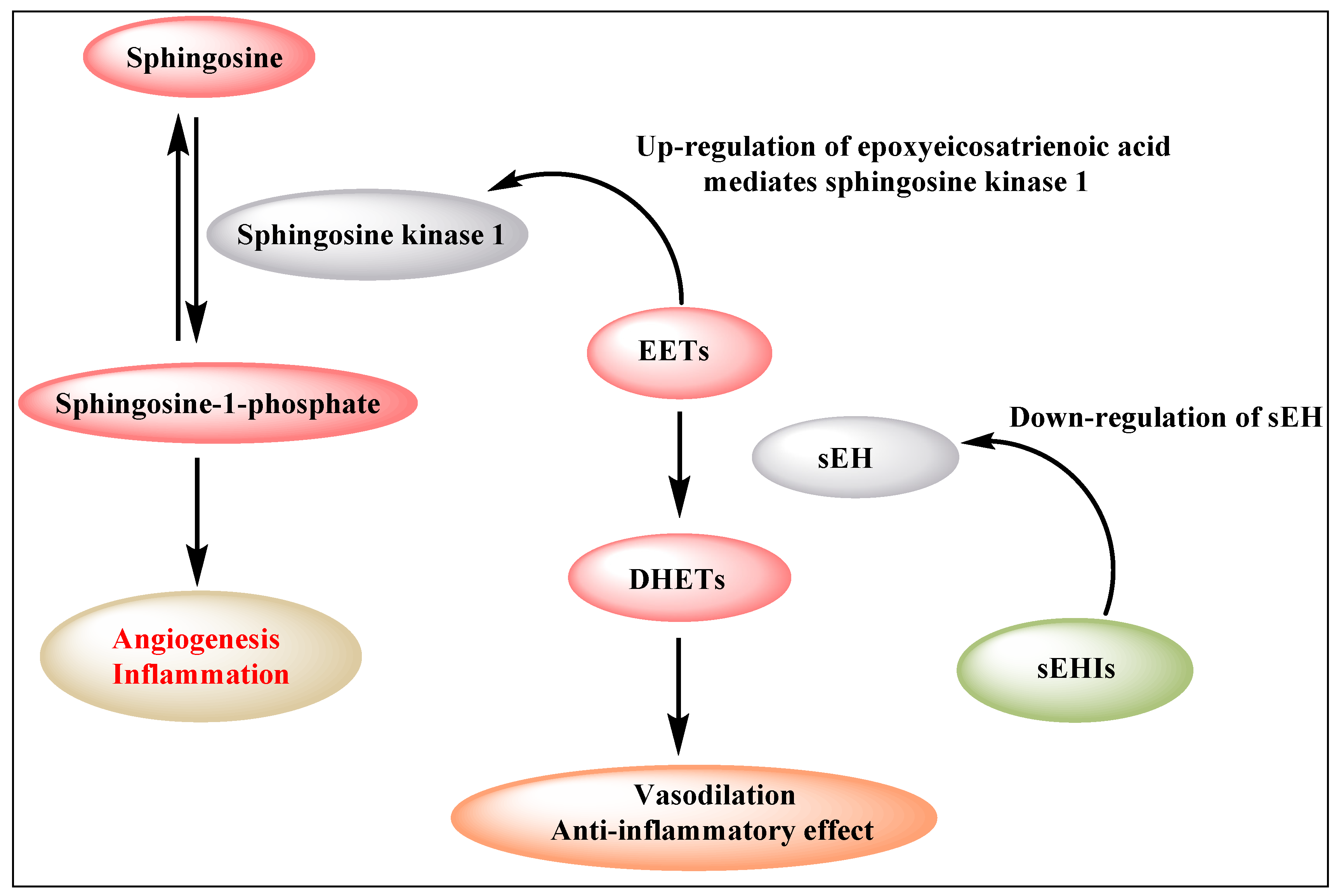 Molecules 25 05488 g001 Molecules 25 05488 g001