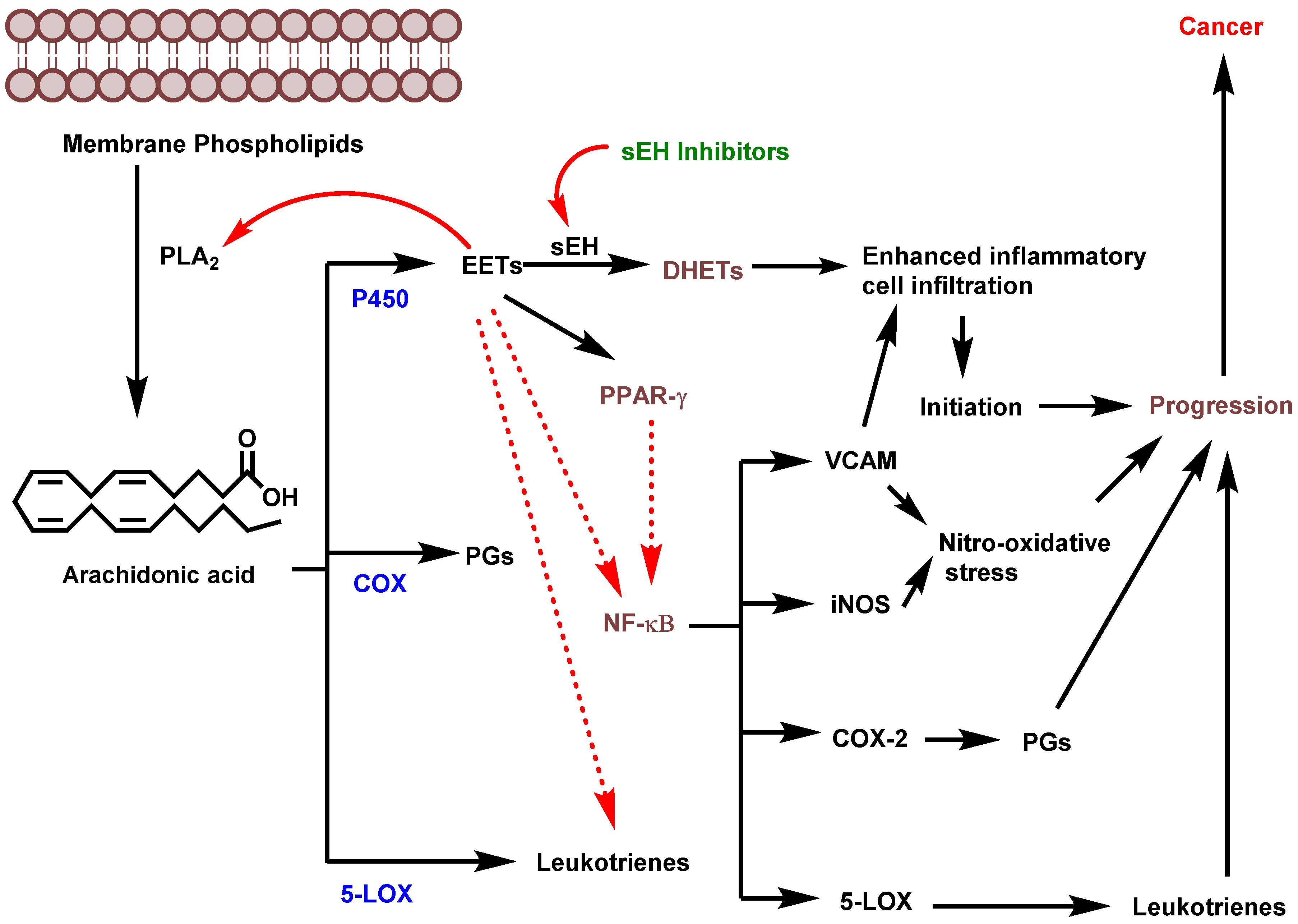 Molecules 25 05488 g002 Molecules 25 05488 g002