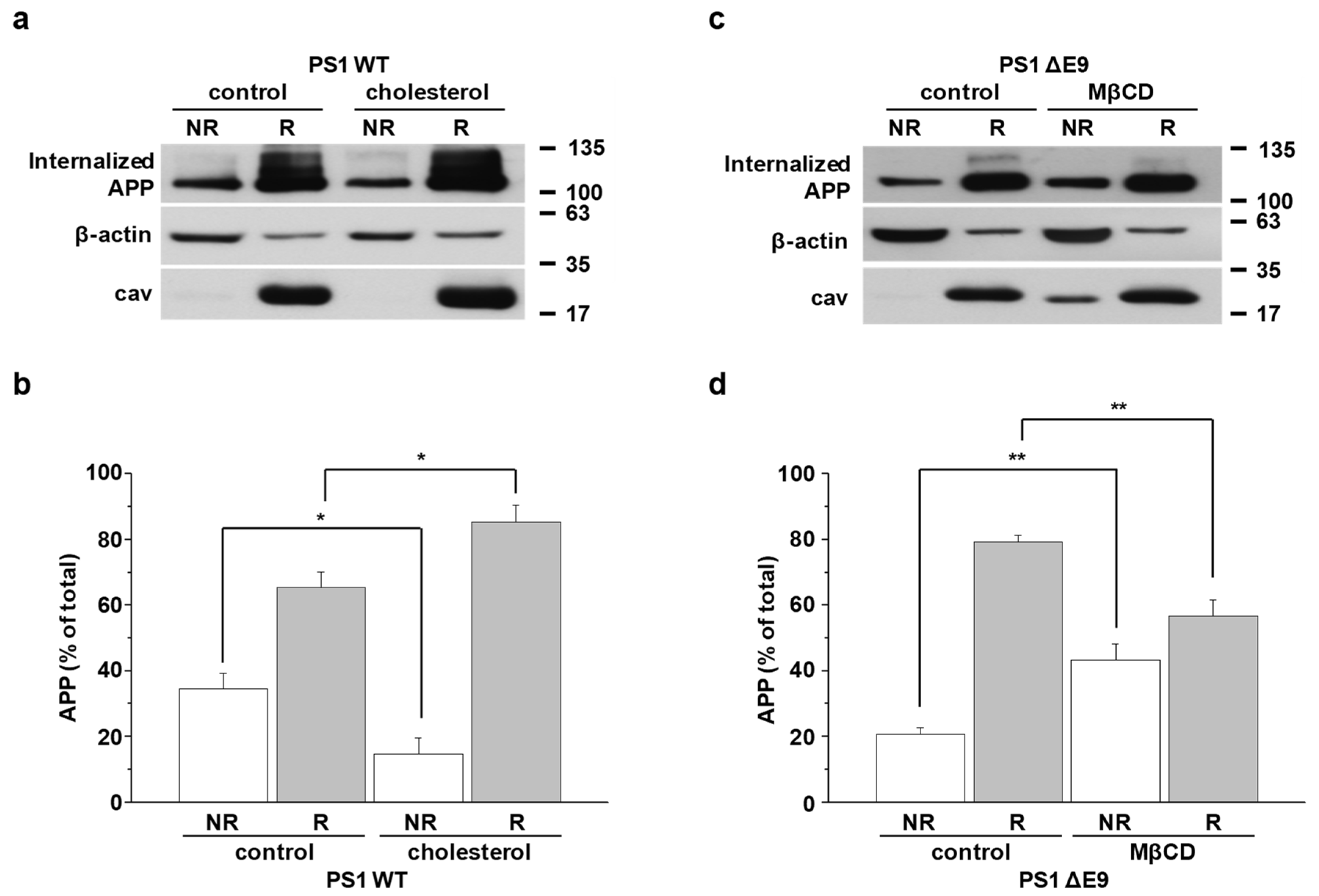 Molecules 25 05490 g005