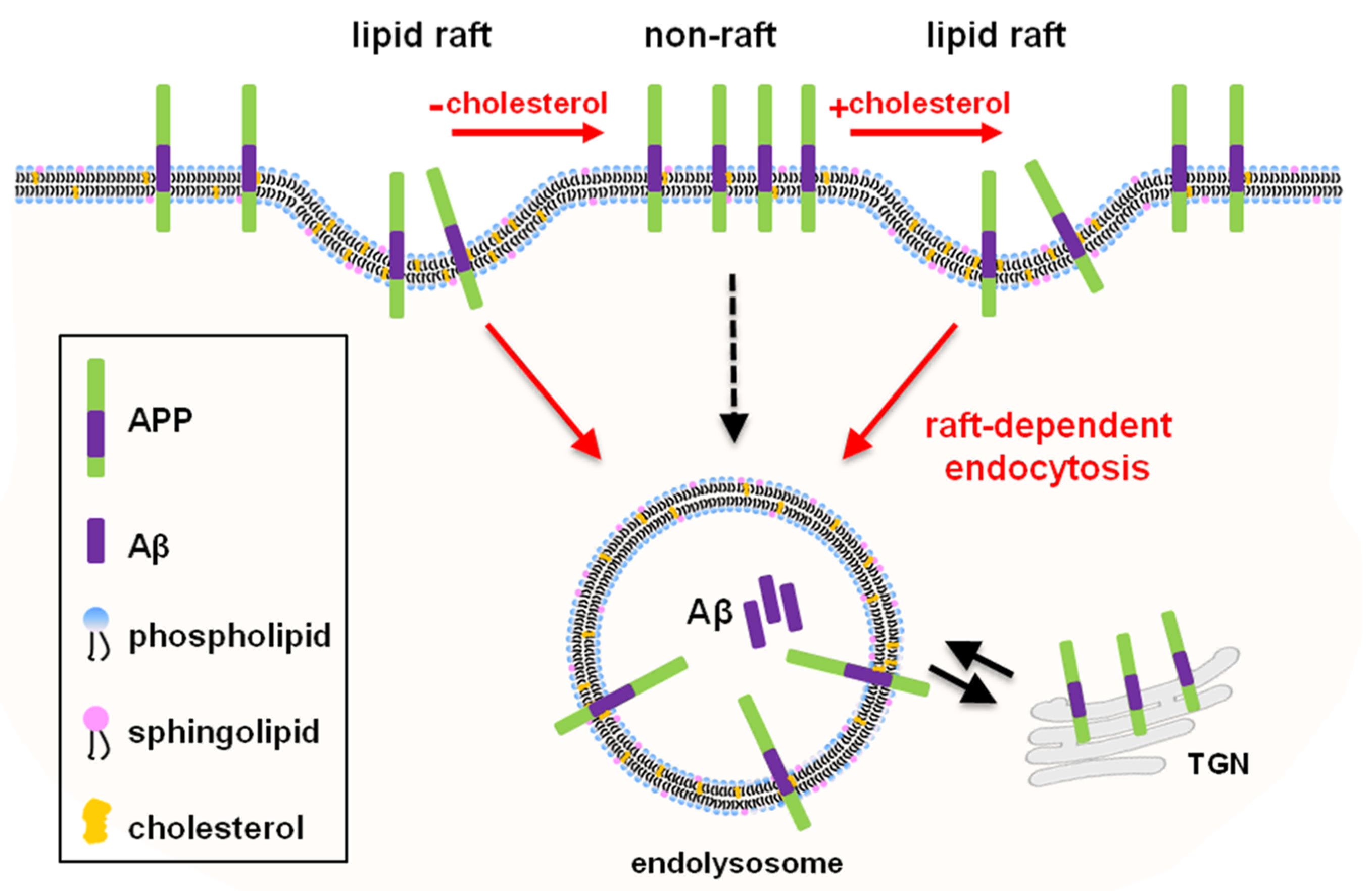 Molecules 25 05490 g007