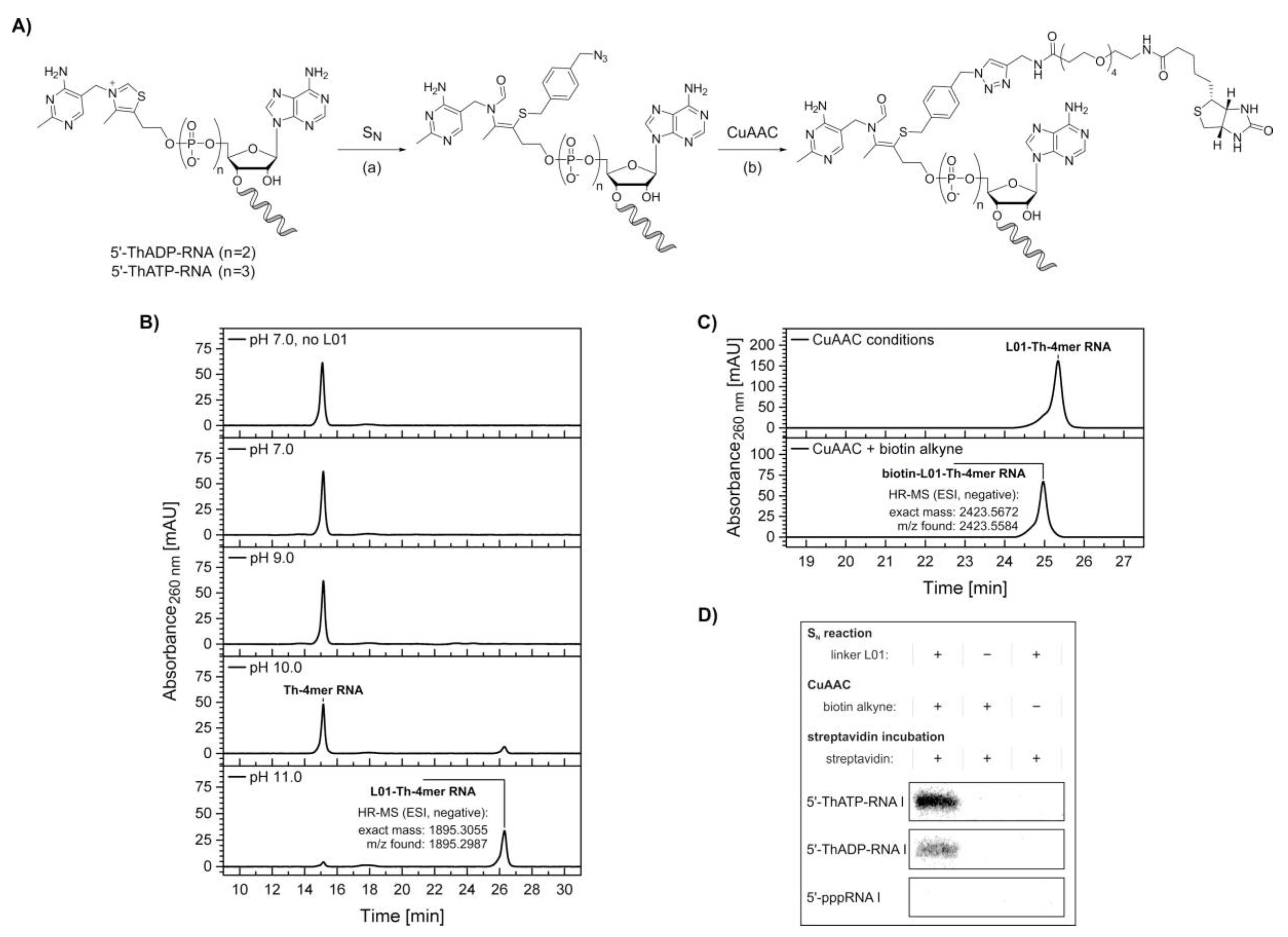 Molecules 25 05492 g004