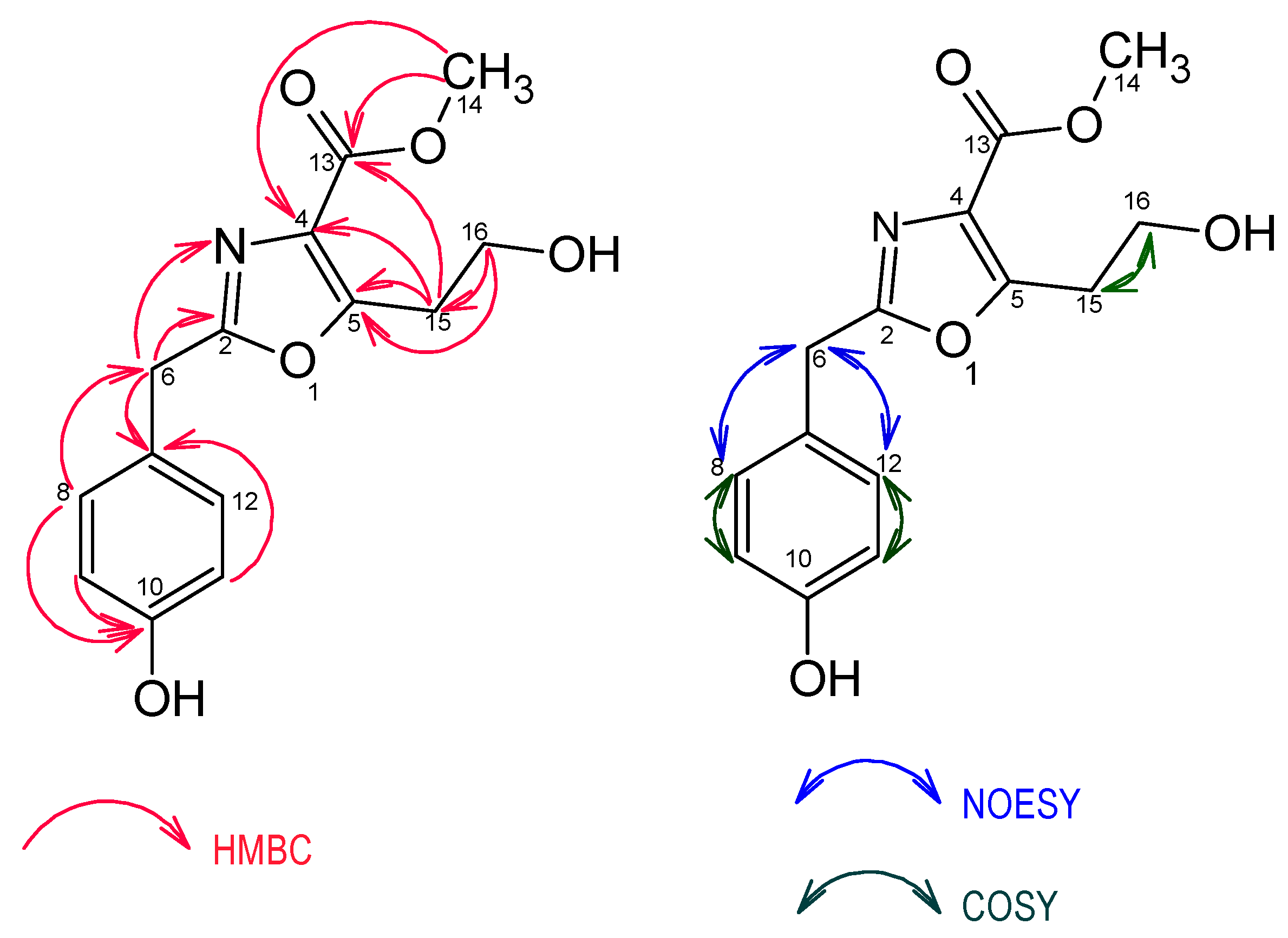 Molecules 25 05497 g004