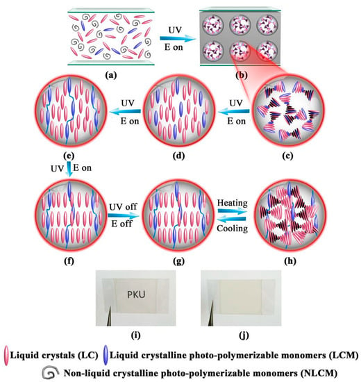 PLASTIC LENTICULAR clear pp microlens film dot lenticular sheet for 3d LED  diffuser