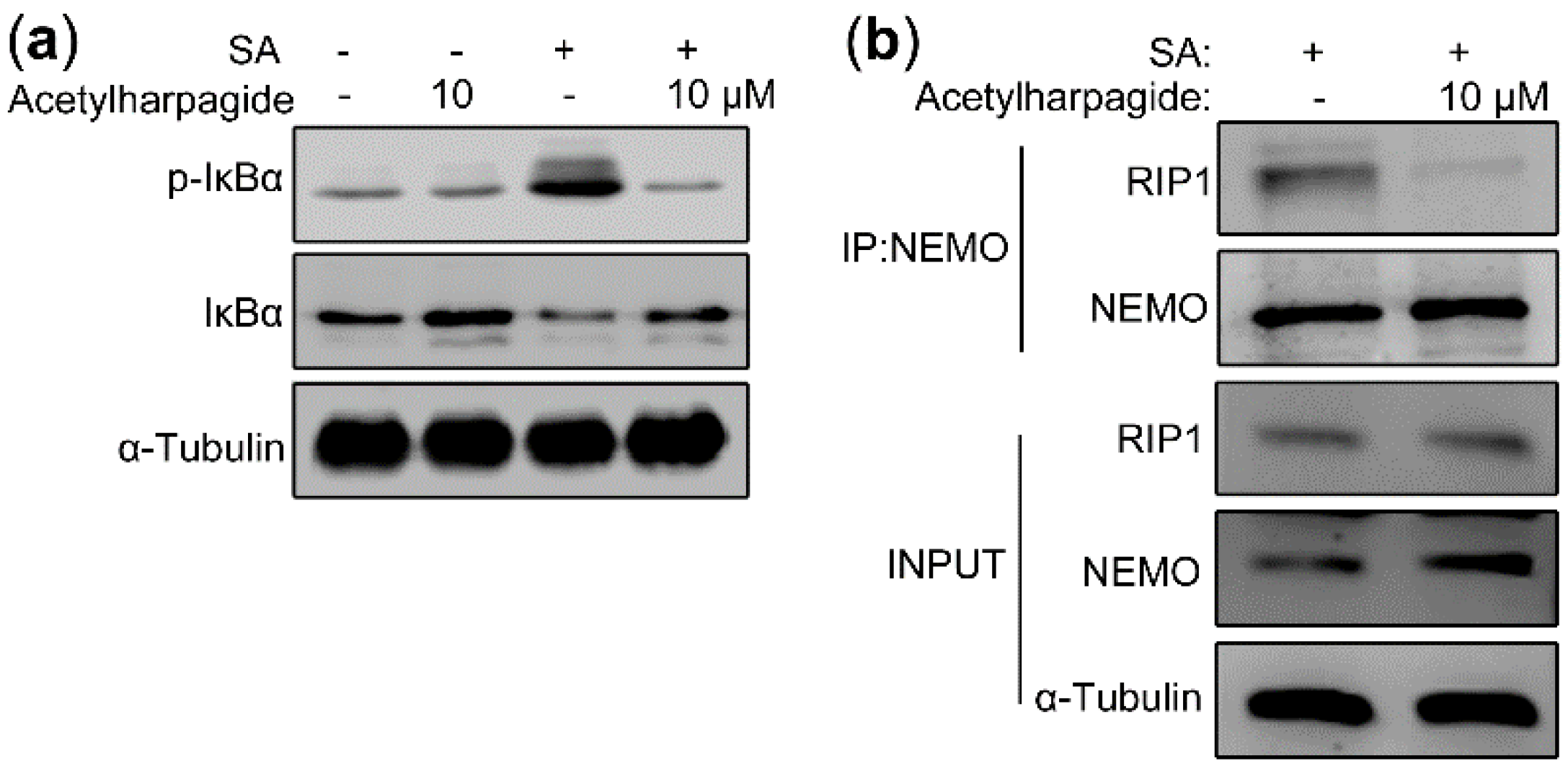 Molecules 25 05523 g007 Molecules 25 05523 g007