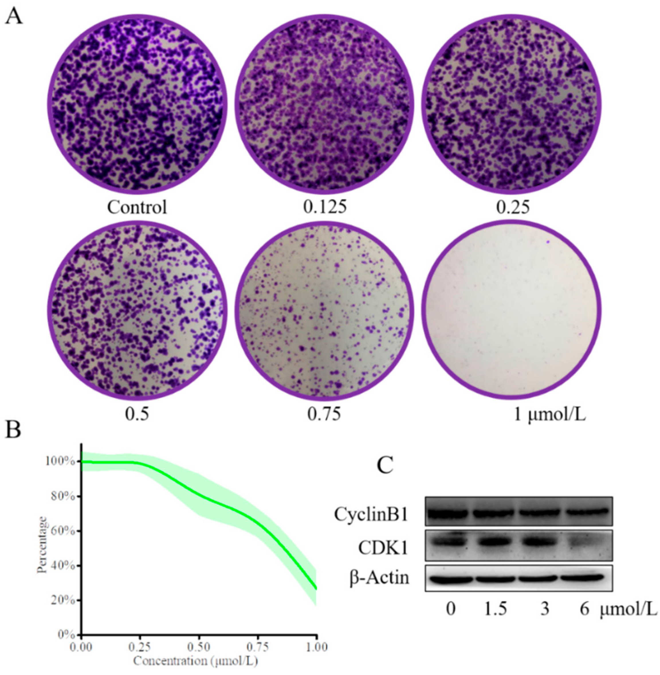 Molecules 25 05530 g005
