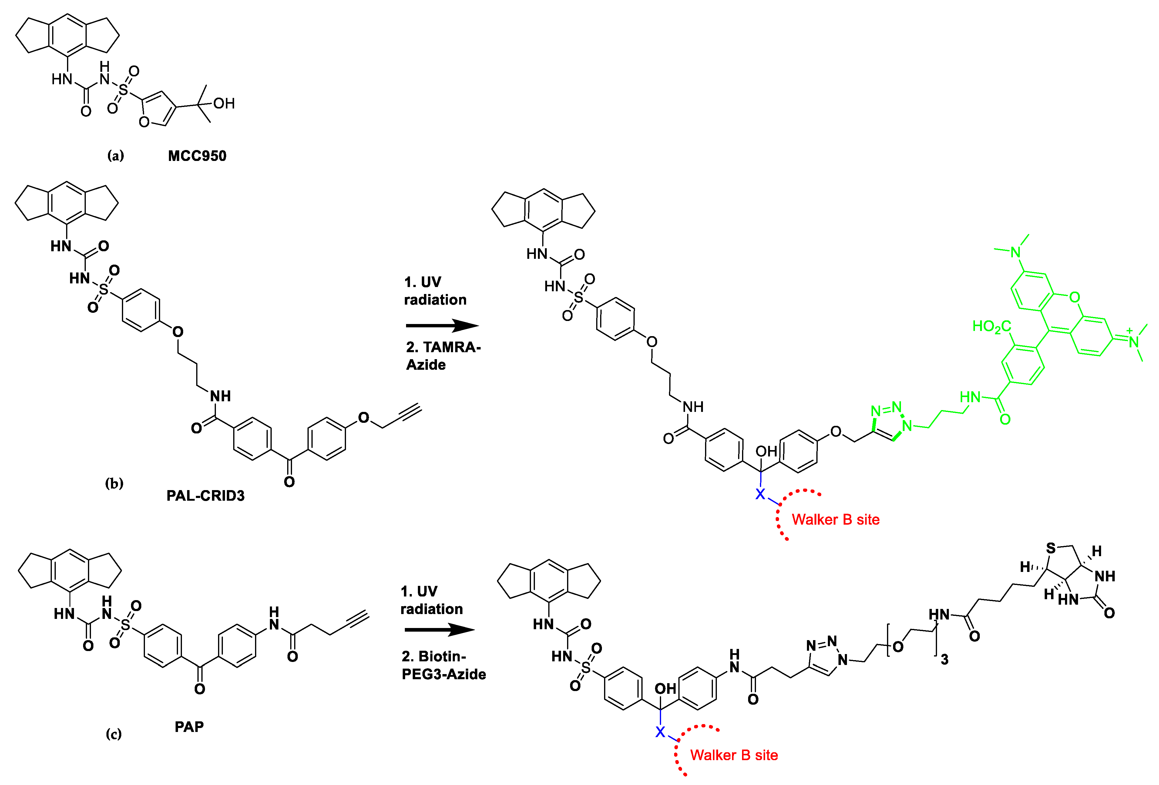 Molecules 25 05533 g005