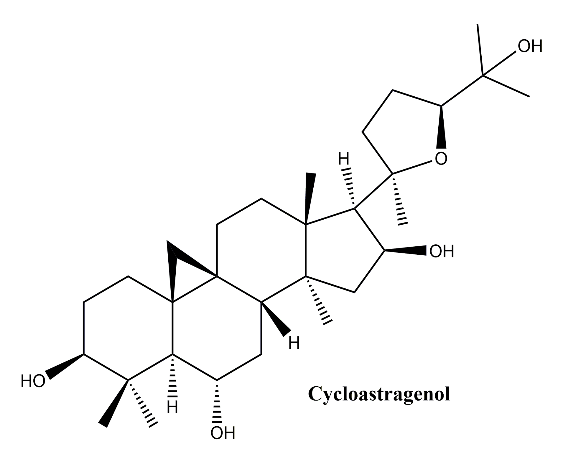 Molecules 25 05557 g009 Molecules 25 05557 g009