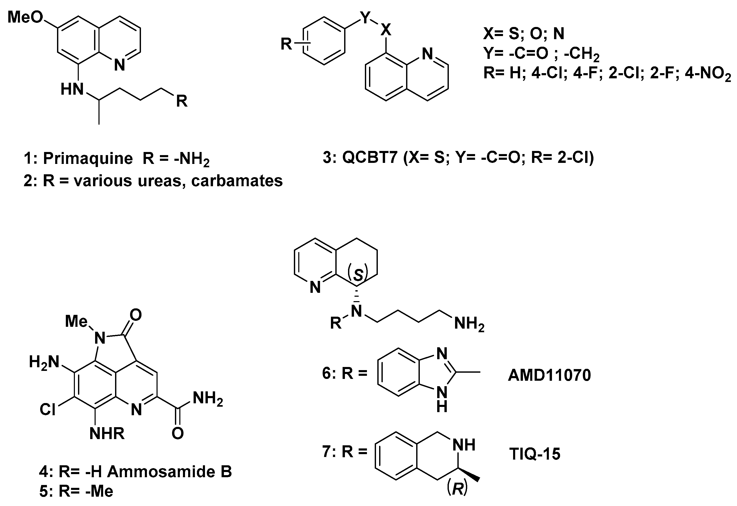 Molecules Free Full Text Biological Properties Of New Chiral 2 Methyl 5 6 7 8 Tetrahydroquinolin 8 Amine Based Compounds Html