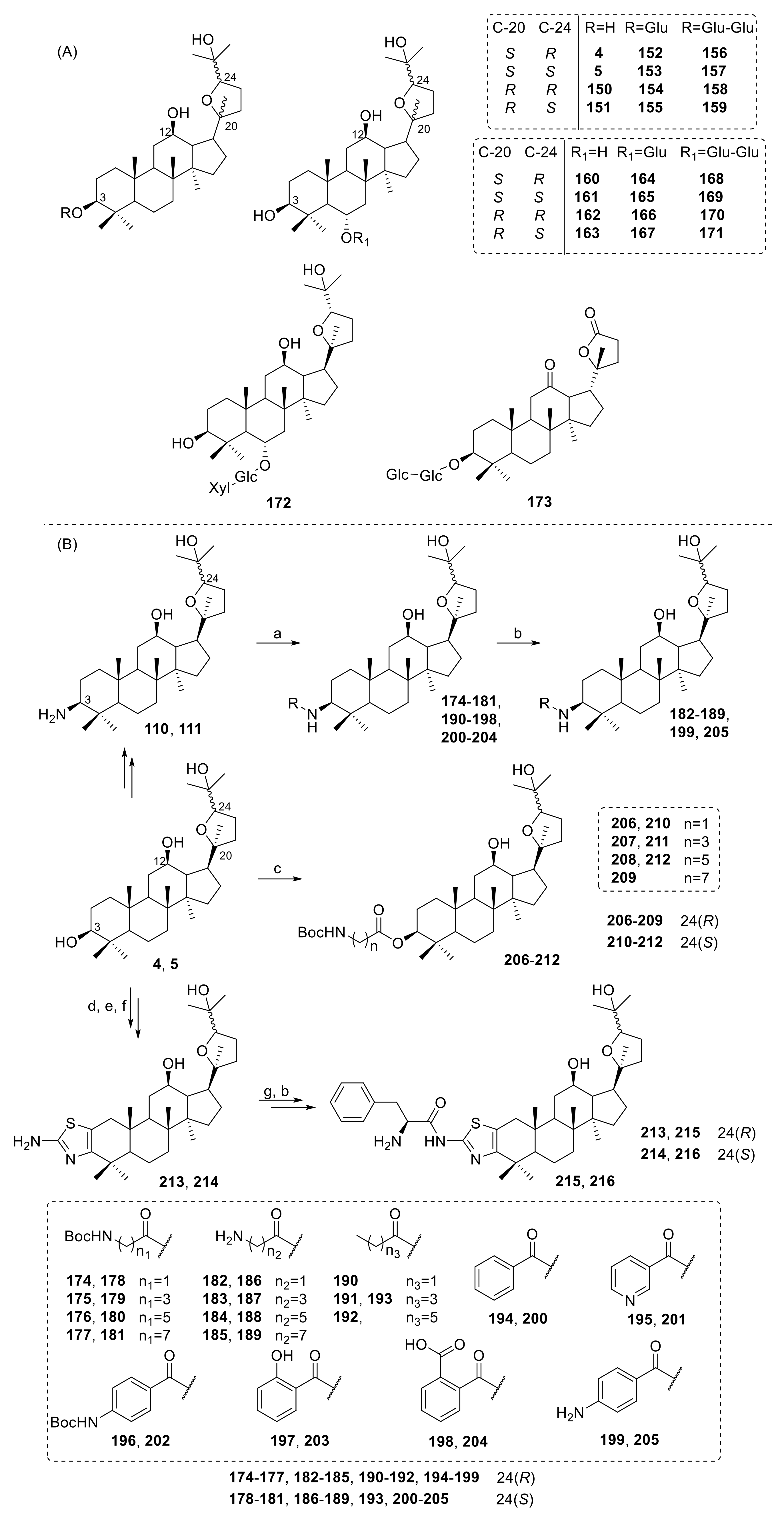 Molecules 25 05562 g013 Molecules 25 05562 g013