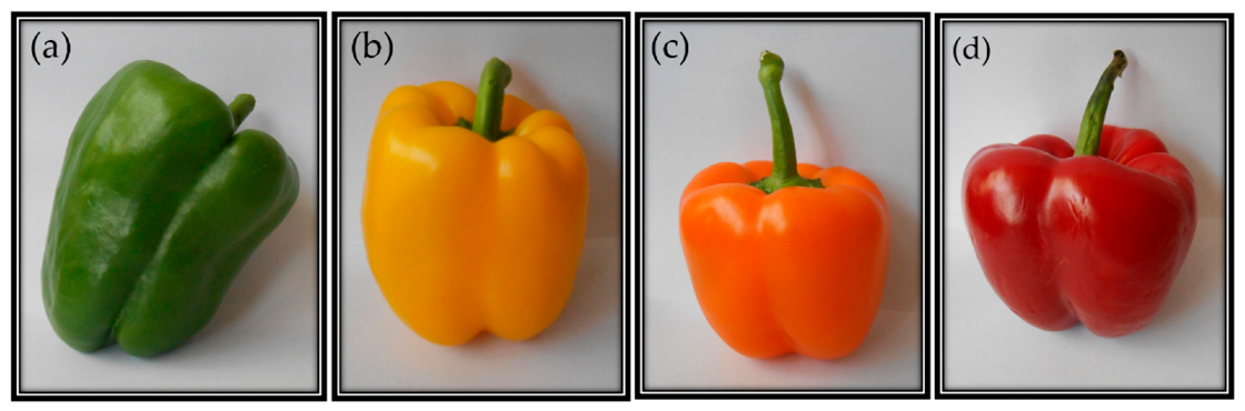Molecules | Free Full-Text | Chili Pepper Carotenoids: Nutraceutical  Properties and Mechanisms of Action