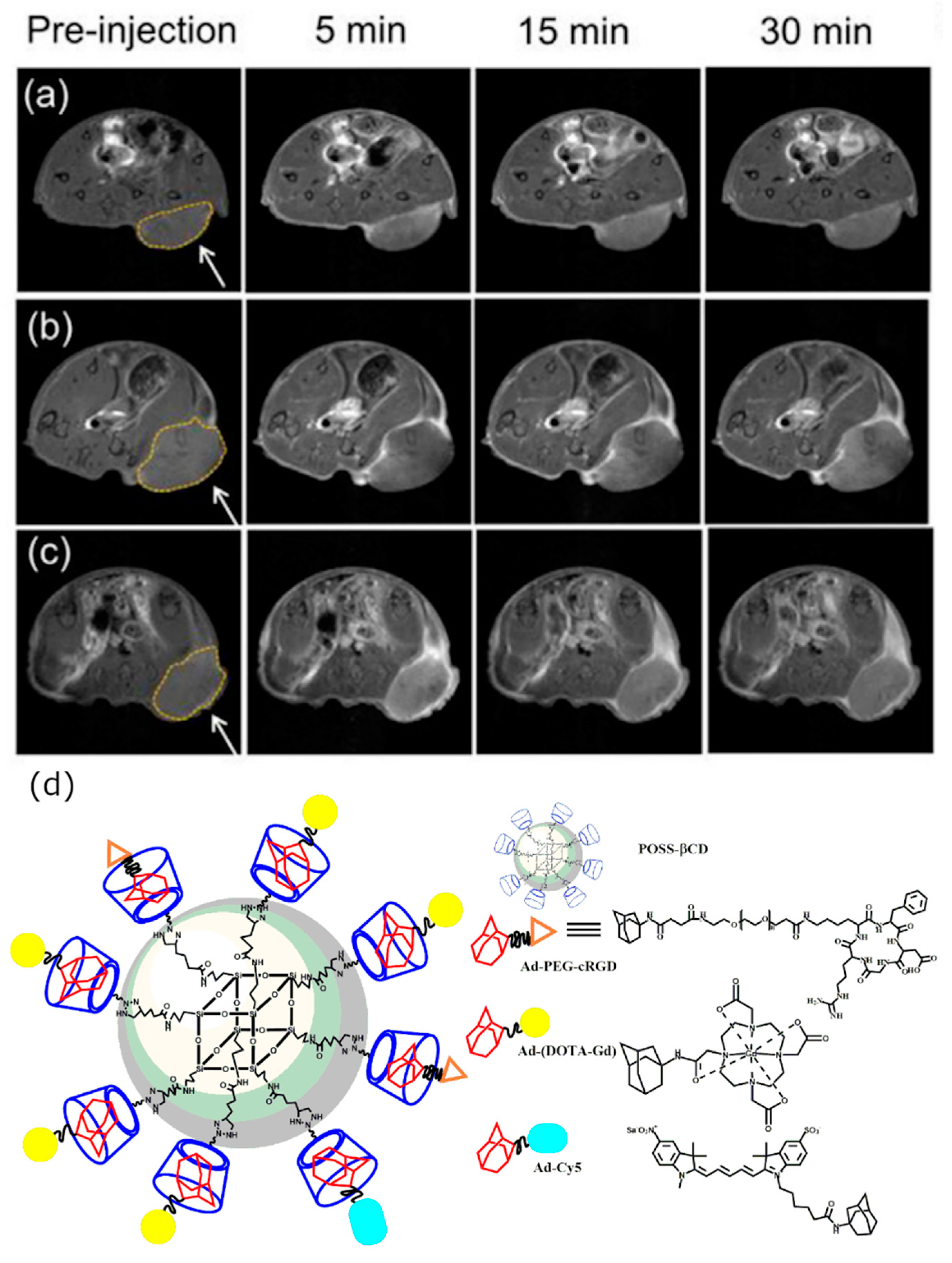 Molecules 25 05576 g003 Molecules 25 05576 g003