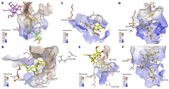 Molecules Special Issue Alkaloid Derivatives Synthesis And Application