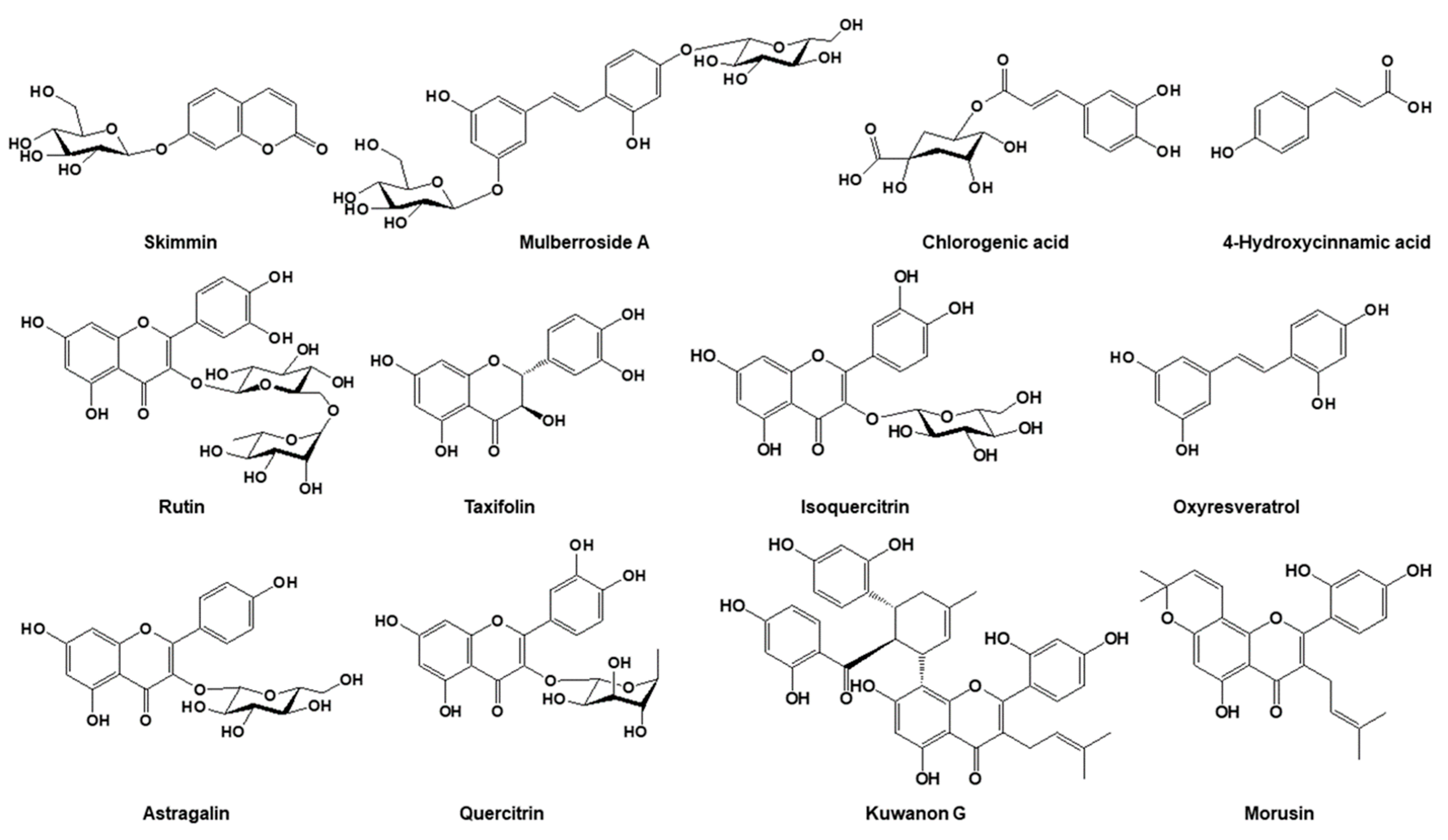 Molecules 25 05592 g001 Molecules 25 05592 g001