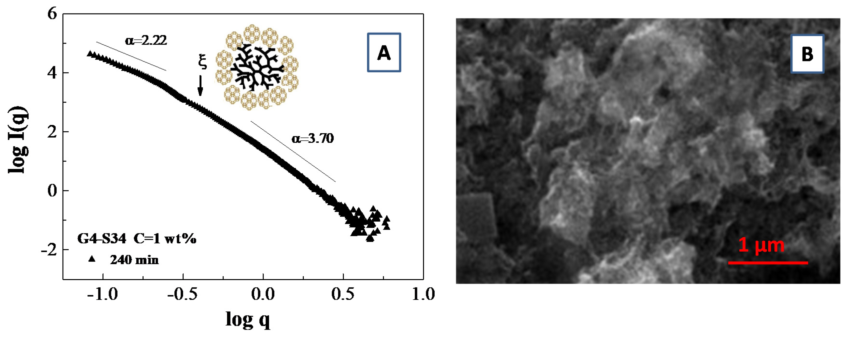 Molecules 25 05624 g009
