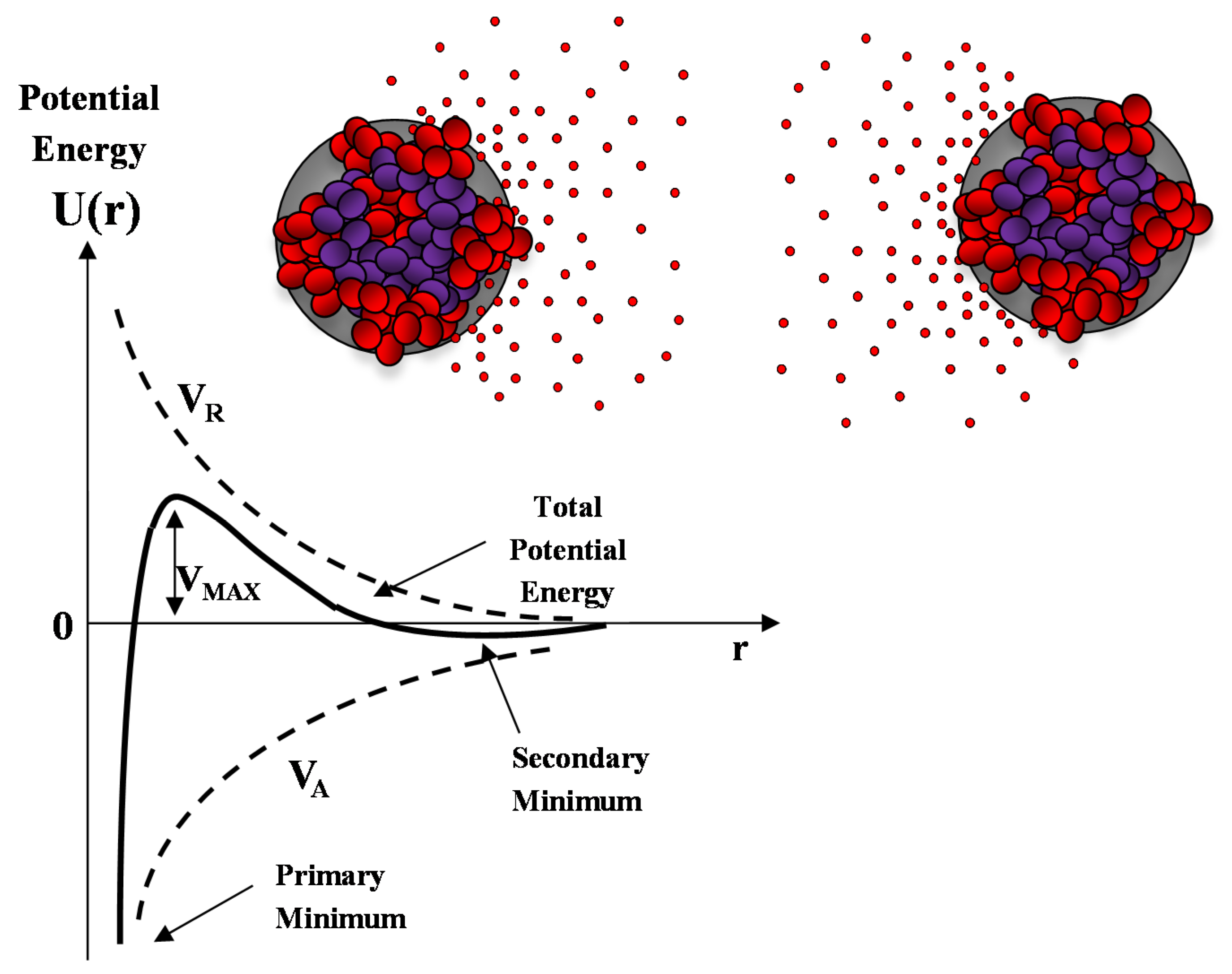 Molecules 25 05624 g010