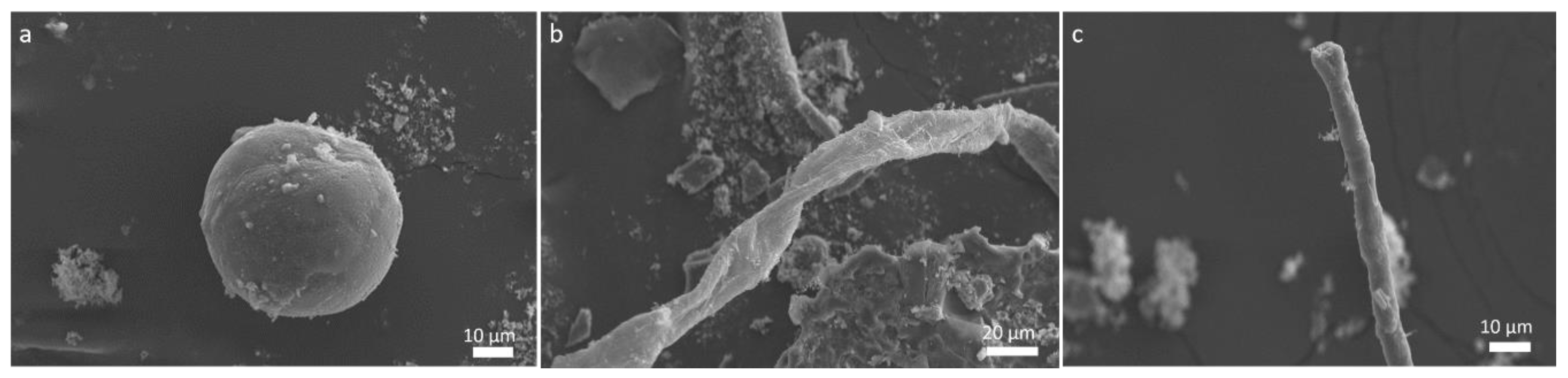 Molecules 25 05634 g001