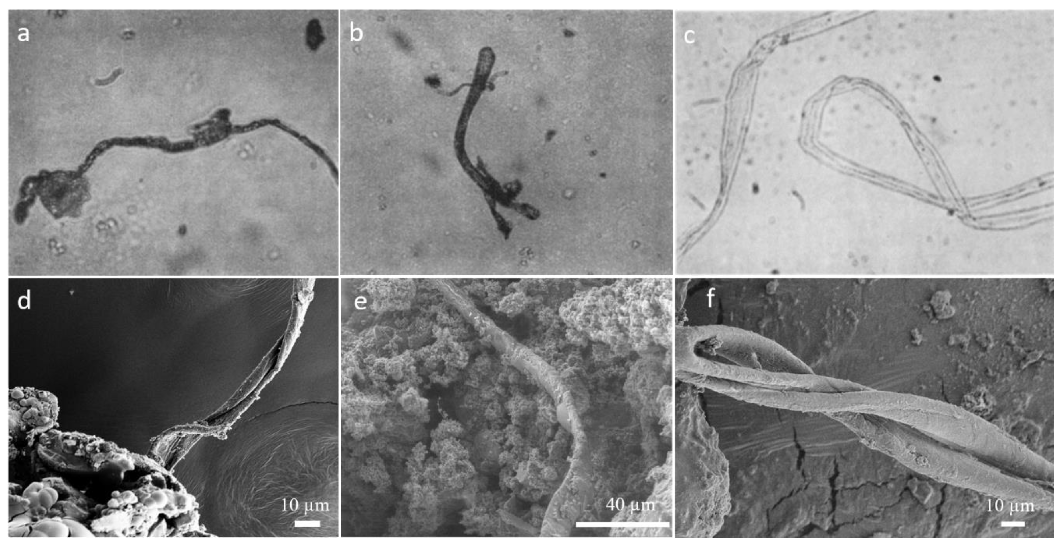 Molecules 25 05634 g005