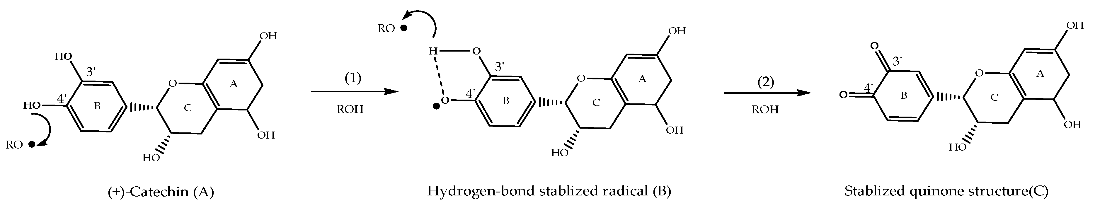 Molecules 25 05636 g006 Molecules 25 05636 g006