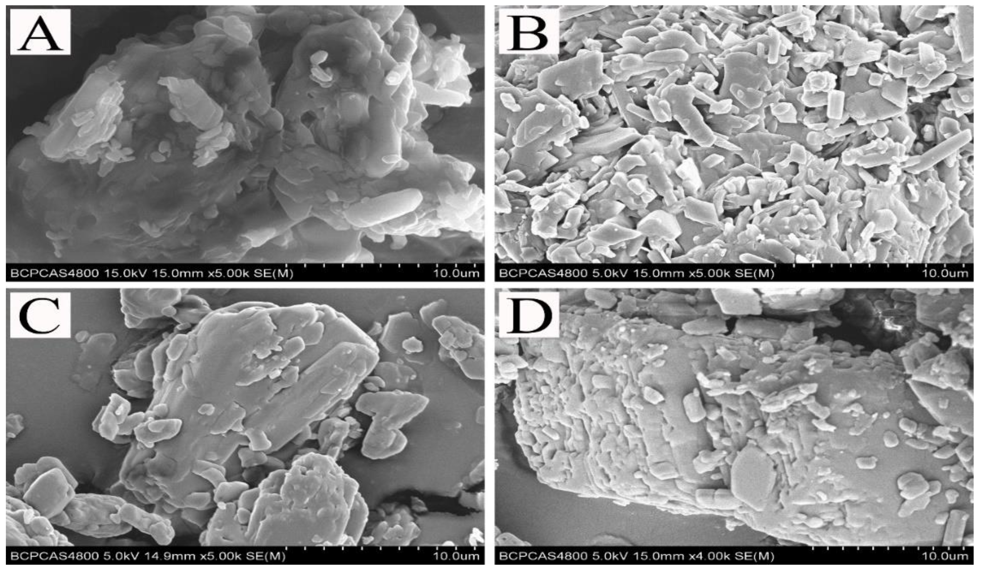 Molecules 25 05637 g003 Molecules 25 05637 g003