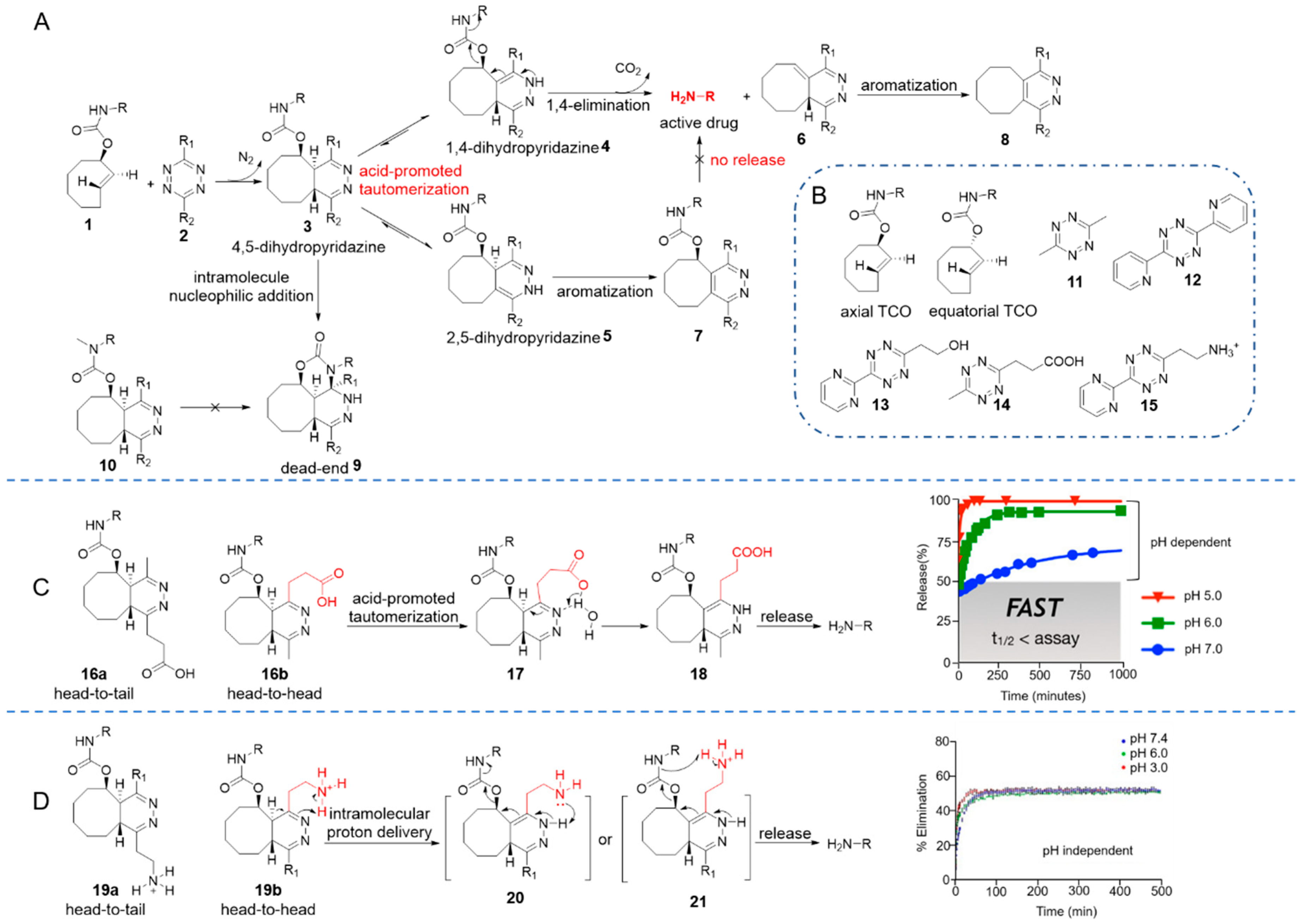 Molecules | Free Full-Text | Activation And Delivery Of Tetrazine ...