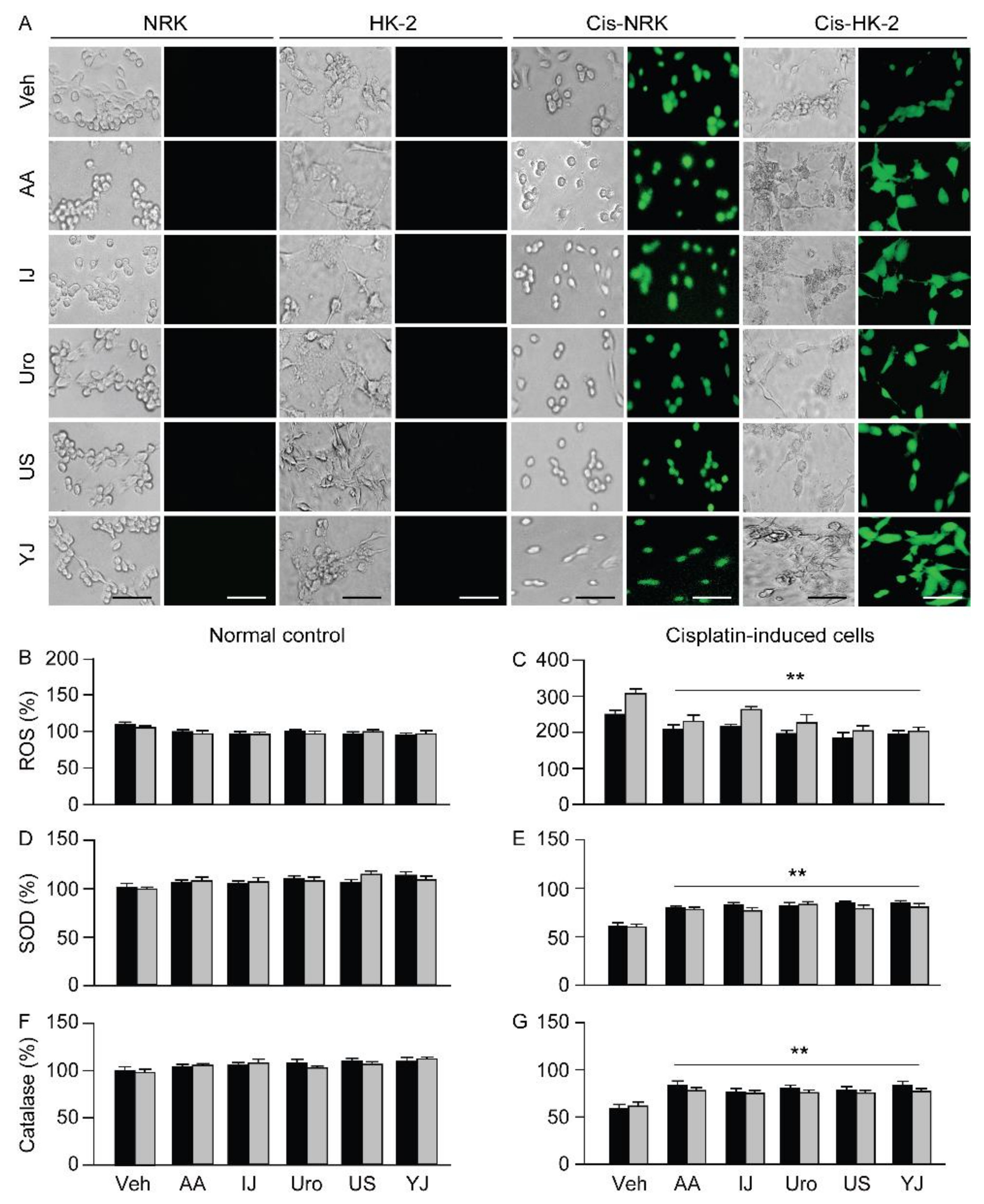Molecules 25 05641 g003