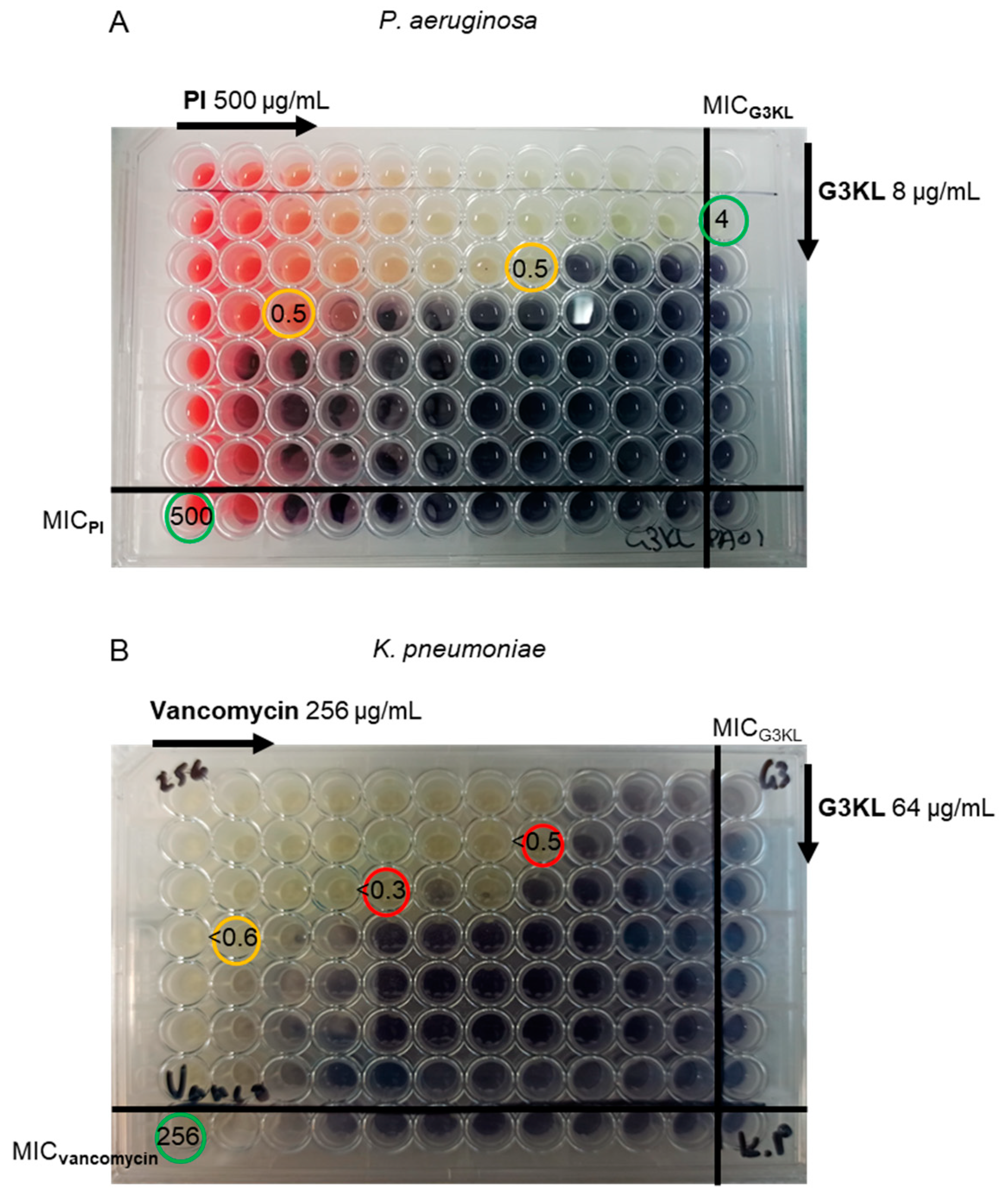 Molecules 25 05643 g002 Molecules 25 05643 g002