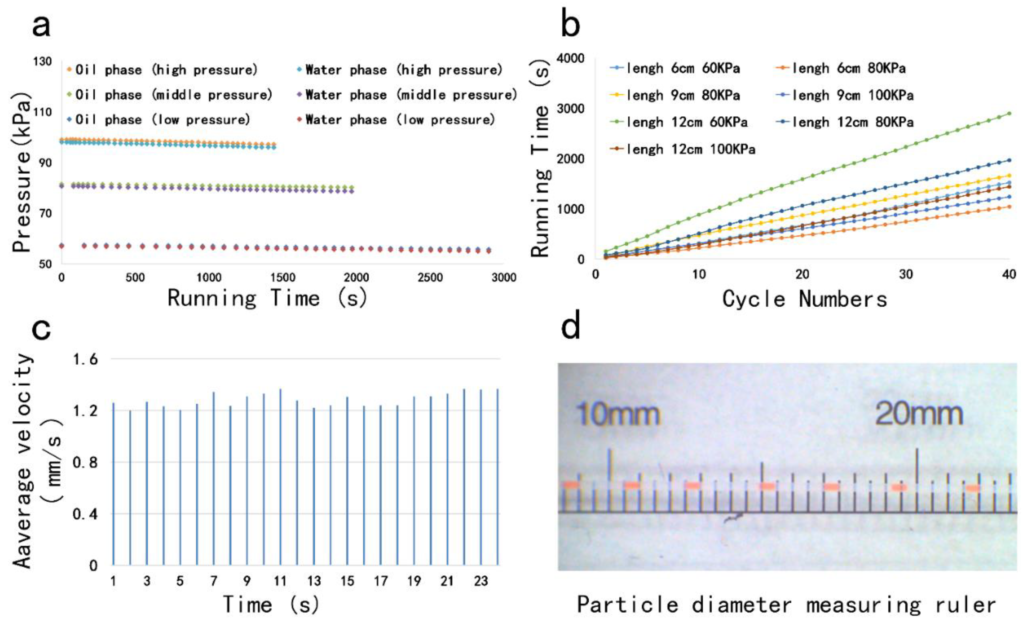 Molecules 25 05646 g002