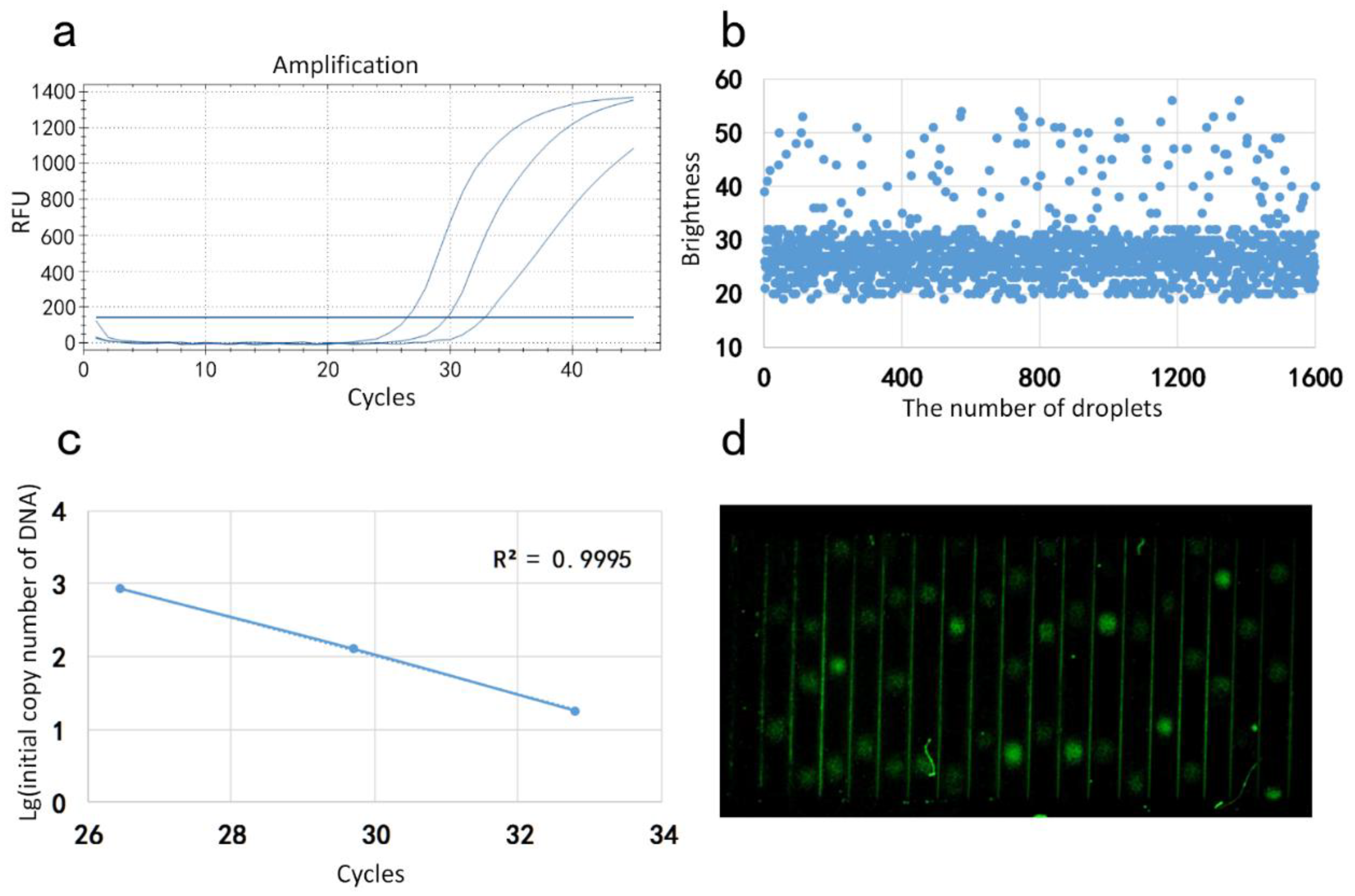 Molecules 25 05646 g003