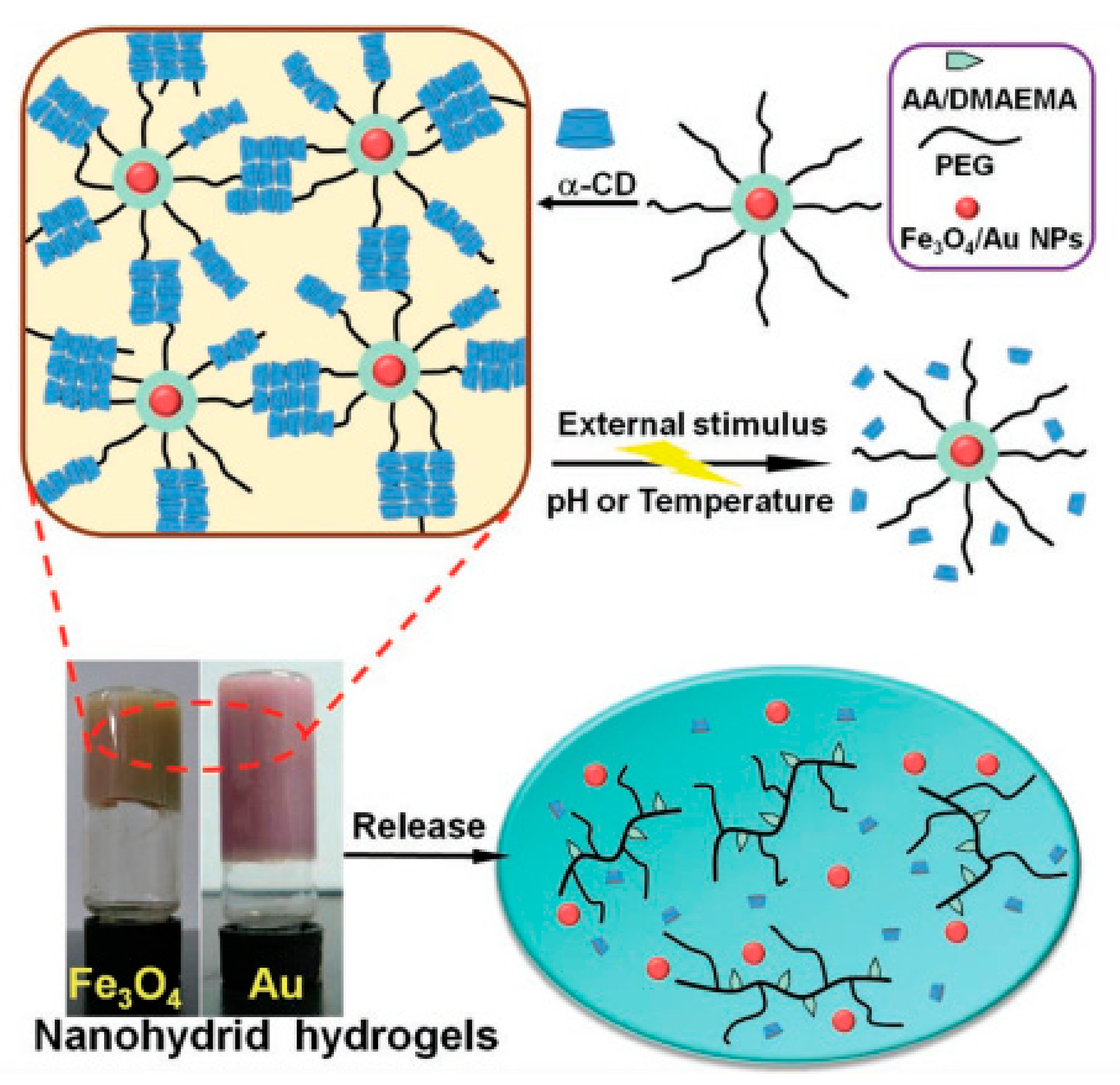 Molecules | Free Full-Text | PH-Sensitive Biomaterials For Drug Delivery