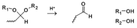 Molecules 25 05649 i005 Molecules 25 05649 i005