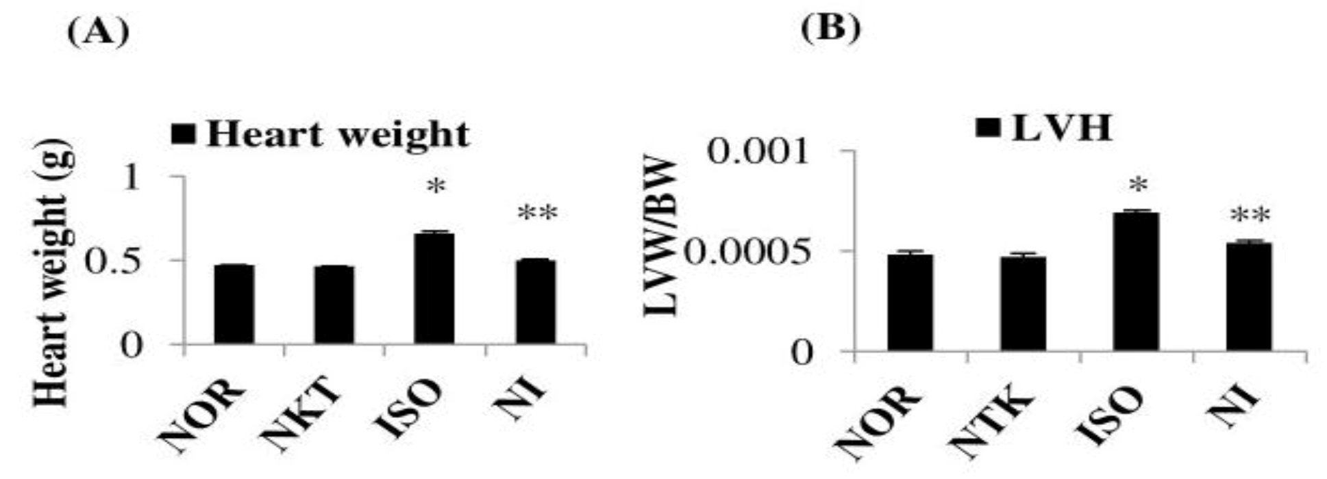 Molecules 25 05656 g004 Molecules 25 05656 g004