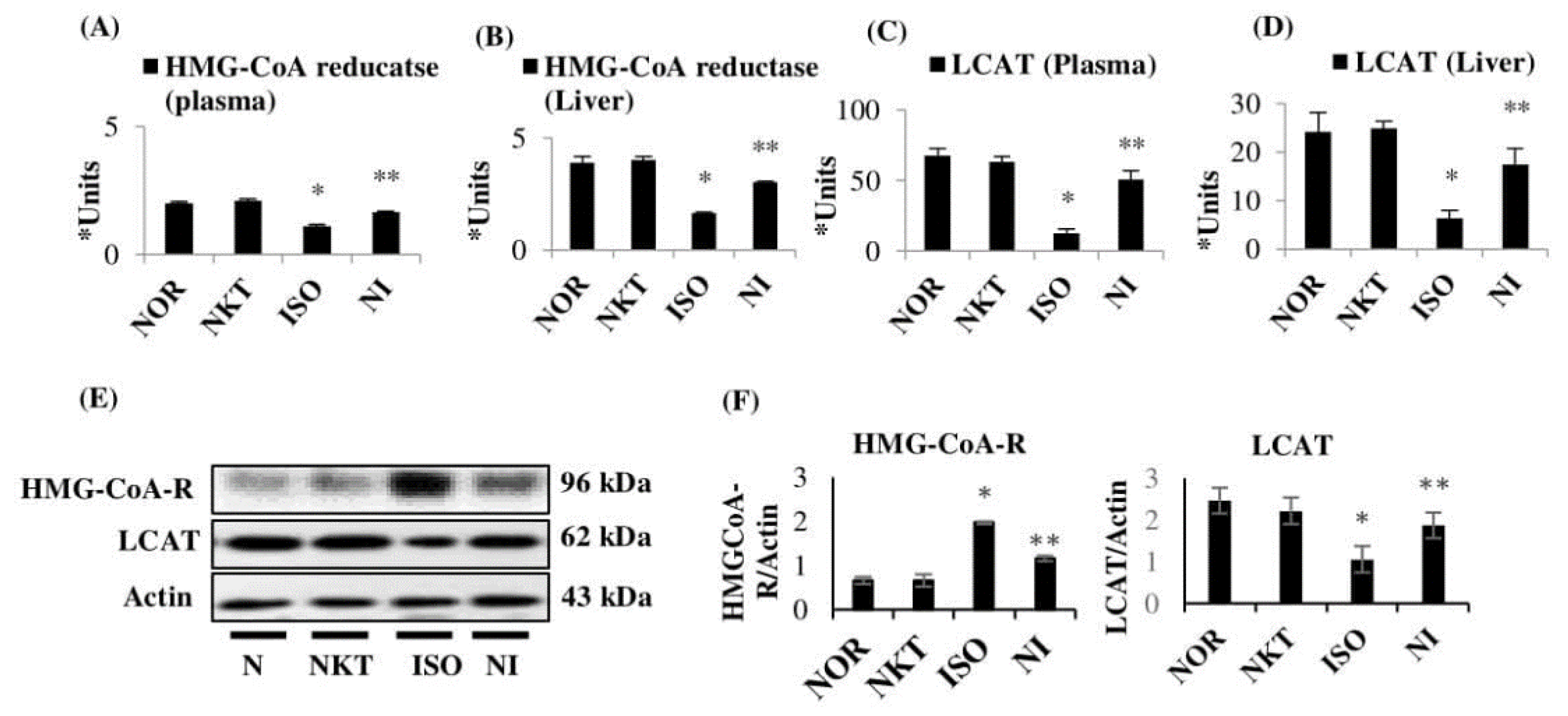 Molecules 25 05656 g008 Molecules 25 05656 g008