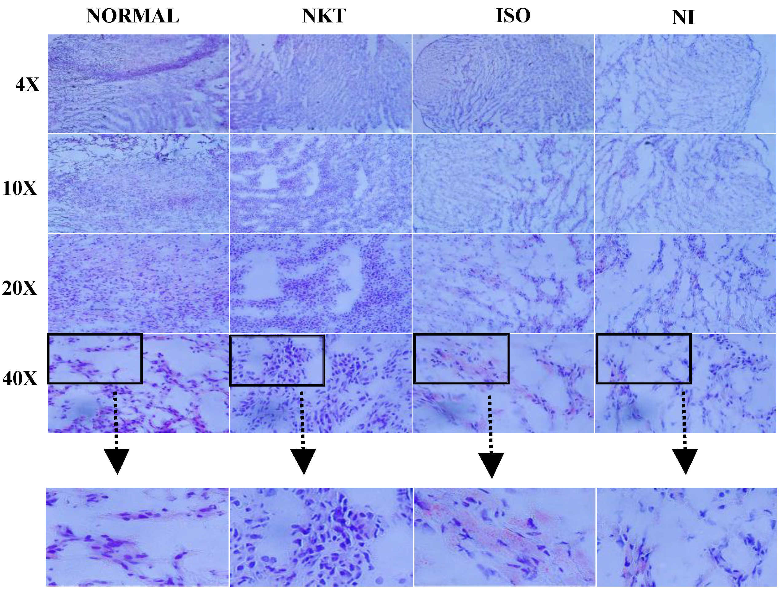 Molecules 25 05656 g009 Molecules 25 05656 g009