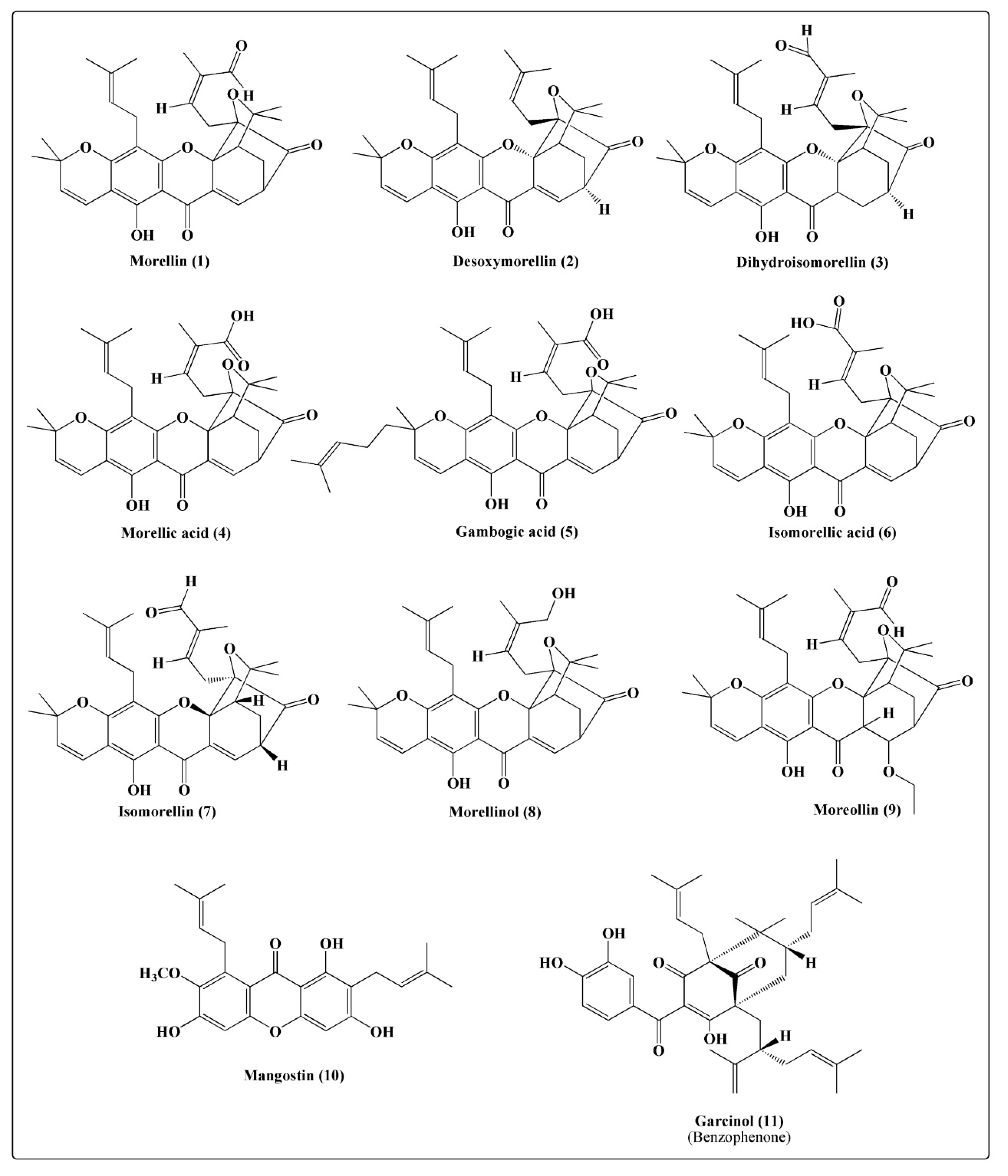 Molecules 25 05690 g002 Molecules 25 05690 g002