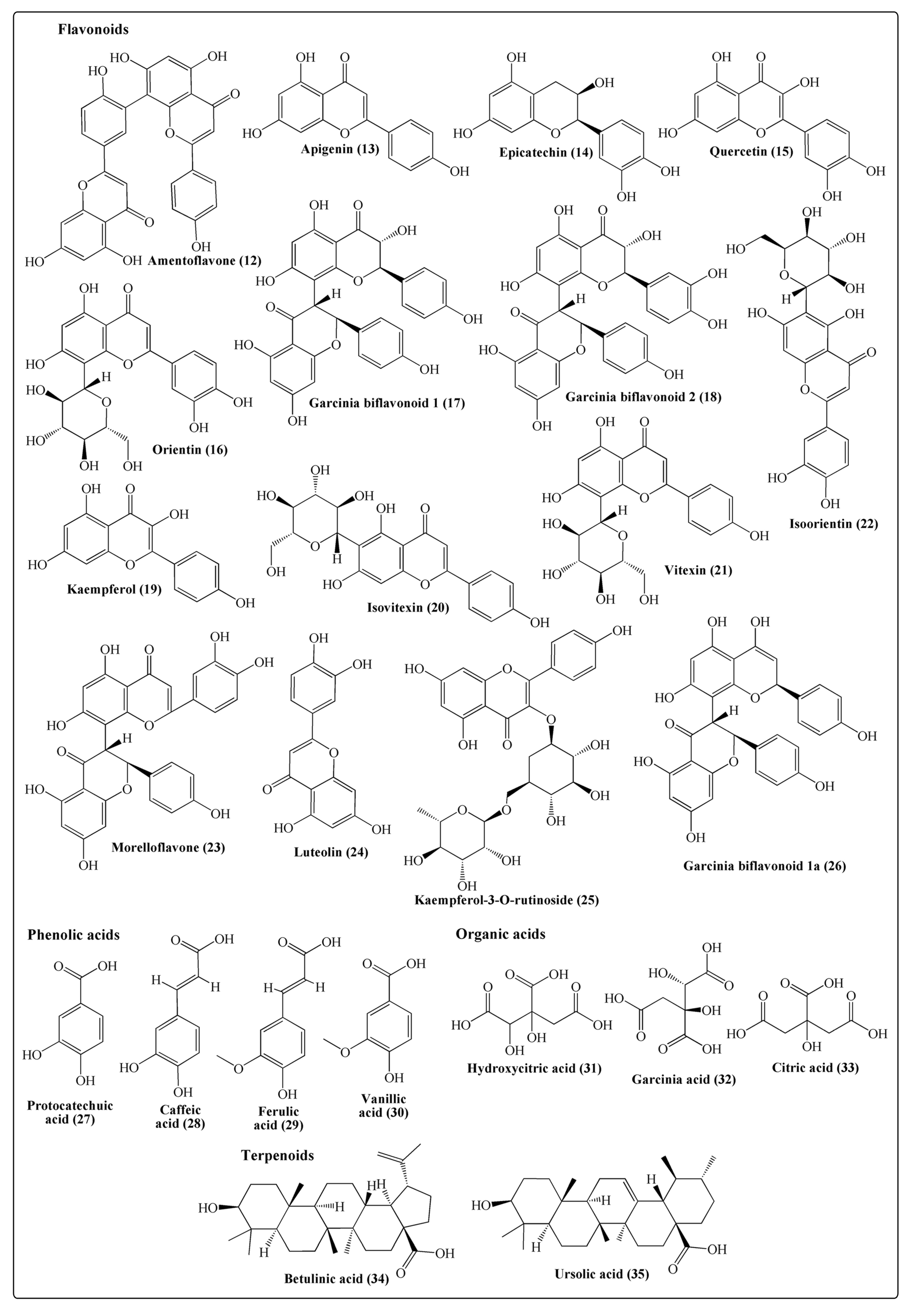 Molecules 25 05690 g003 Molecules 25 05690 g003