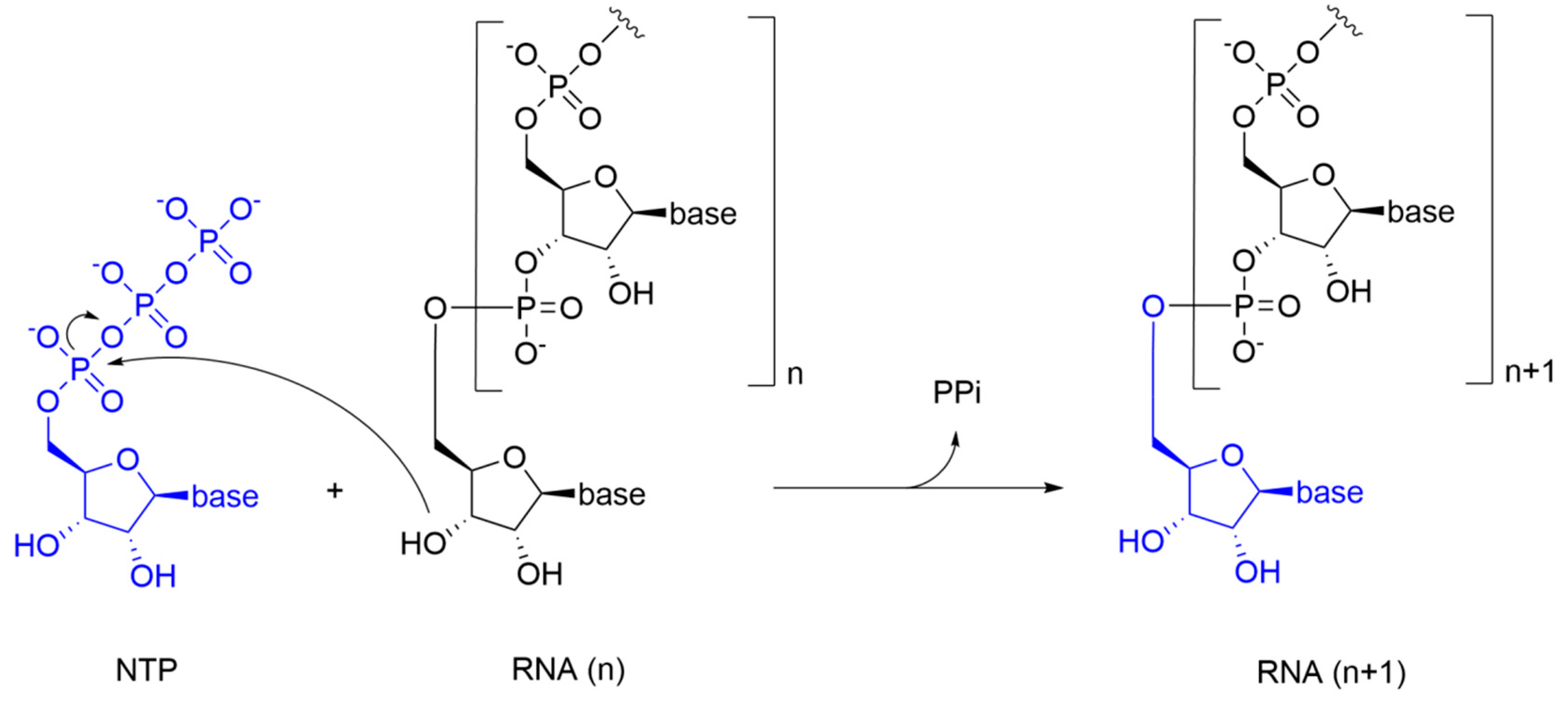 Molecules 25 05695 g002 Molecules 25 05695 g002