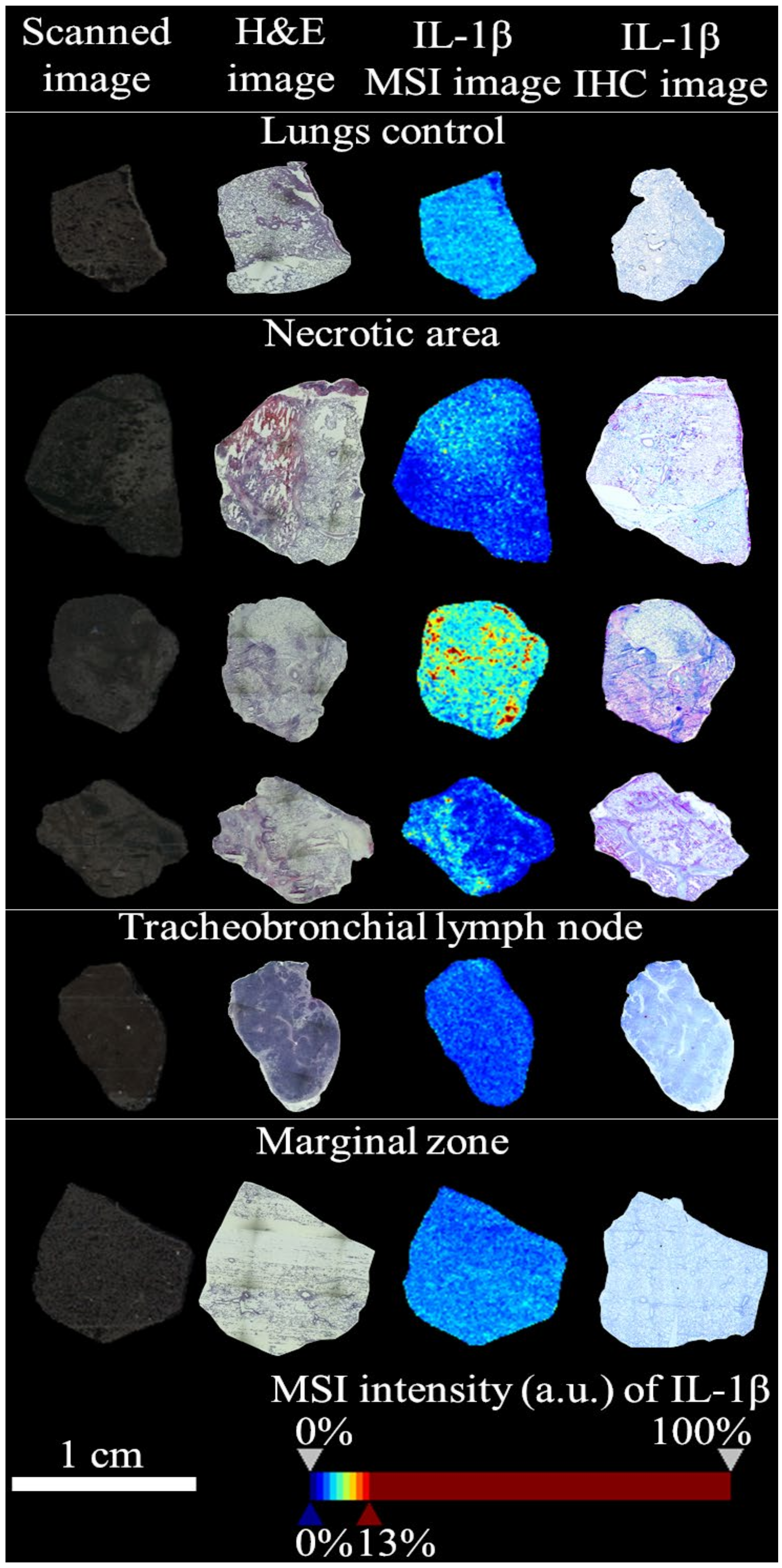 Molecules 25 05723 g002 Molecules 25 05723 g002