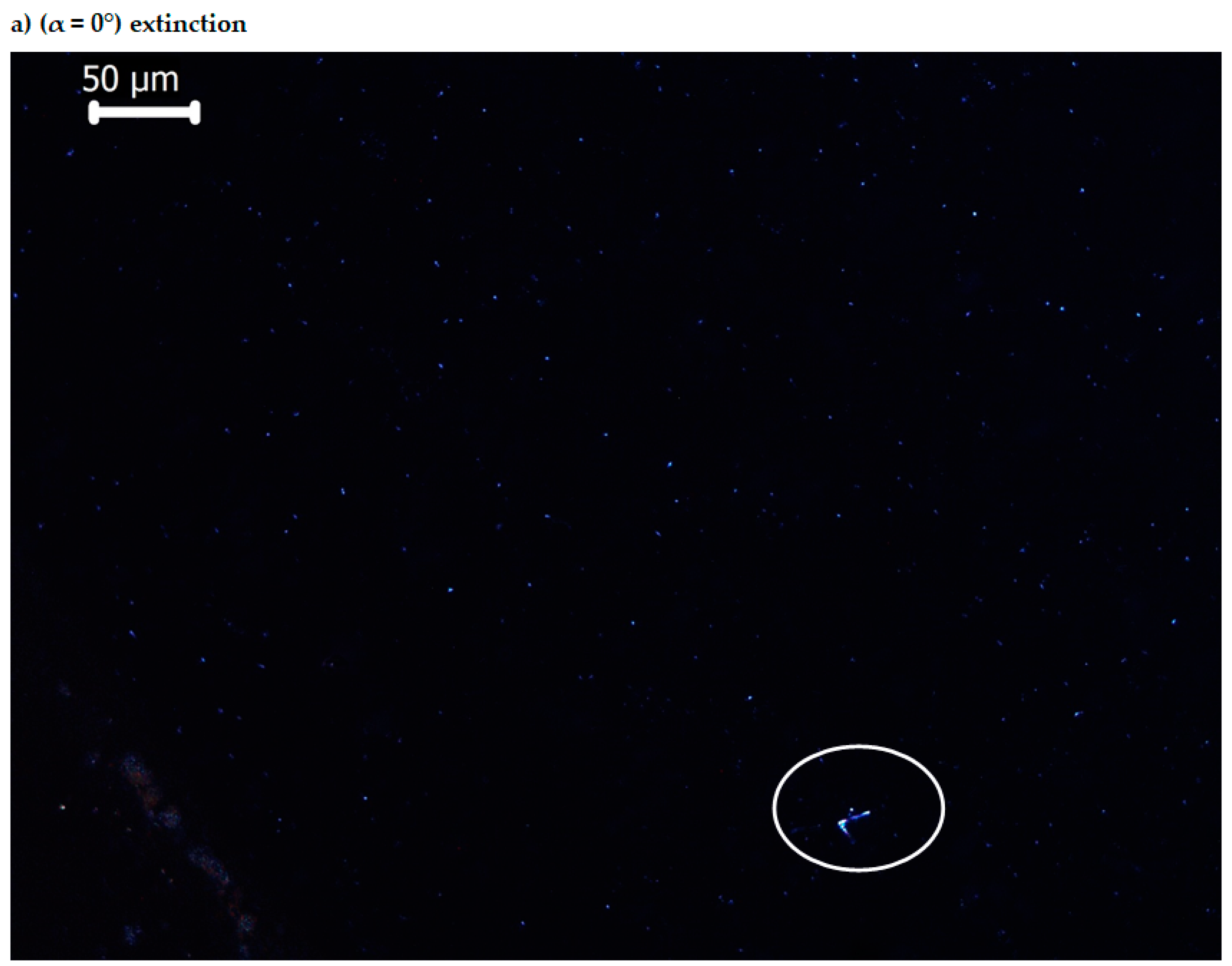 Molecules 25 05757 g010a
