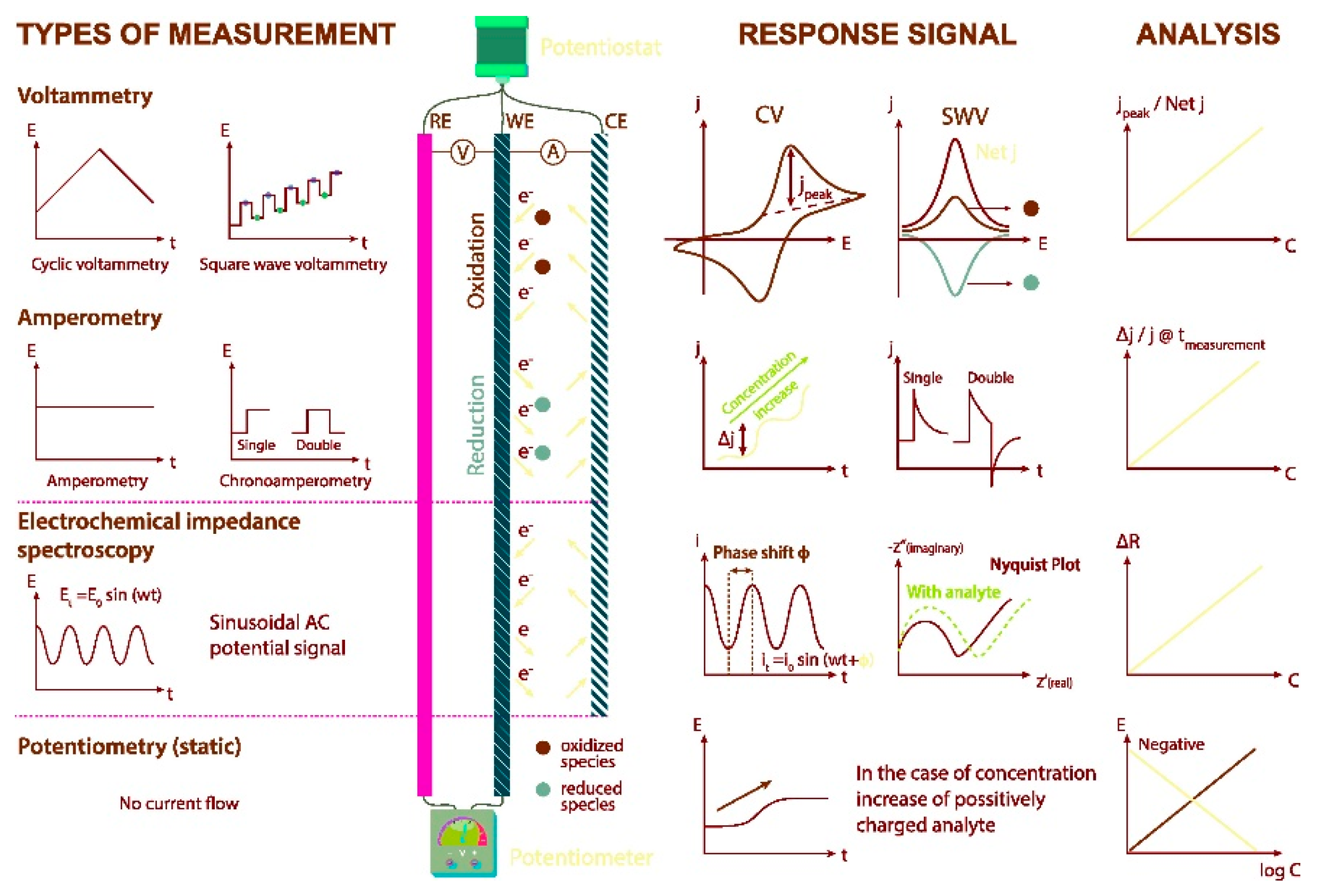 Molecules 25 05759 g001