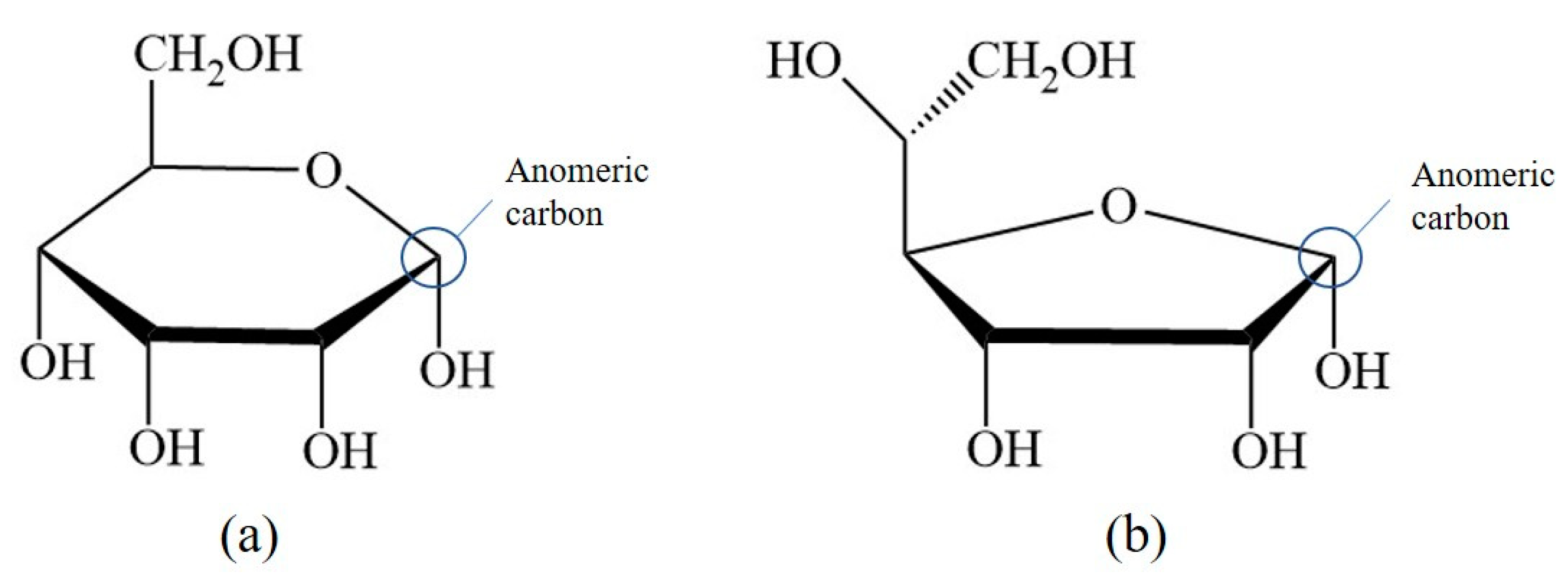 Molecules 25 05762 g005 Molecules 25 05762 g005
