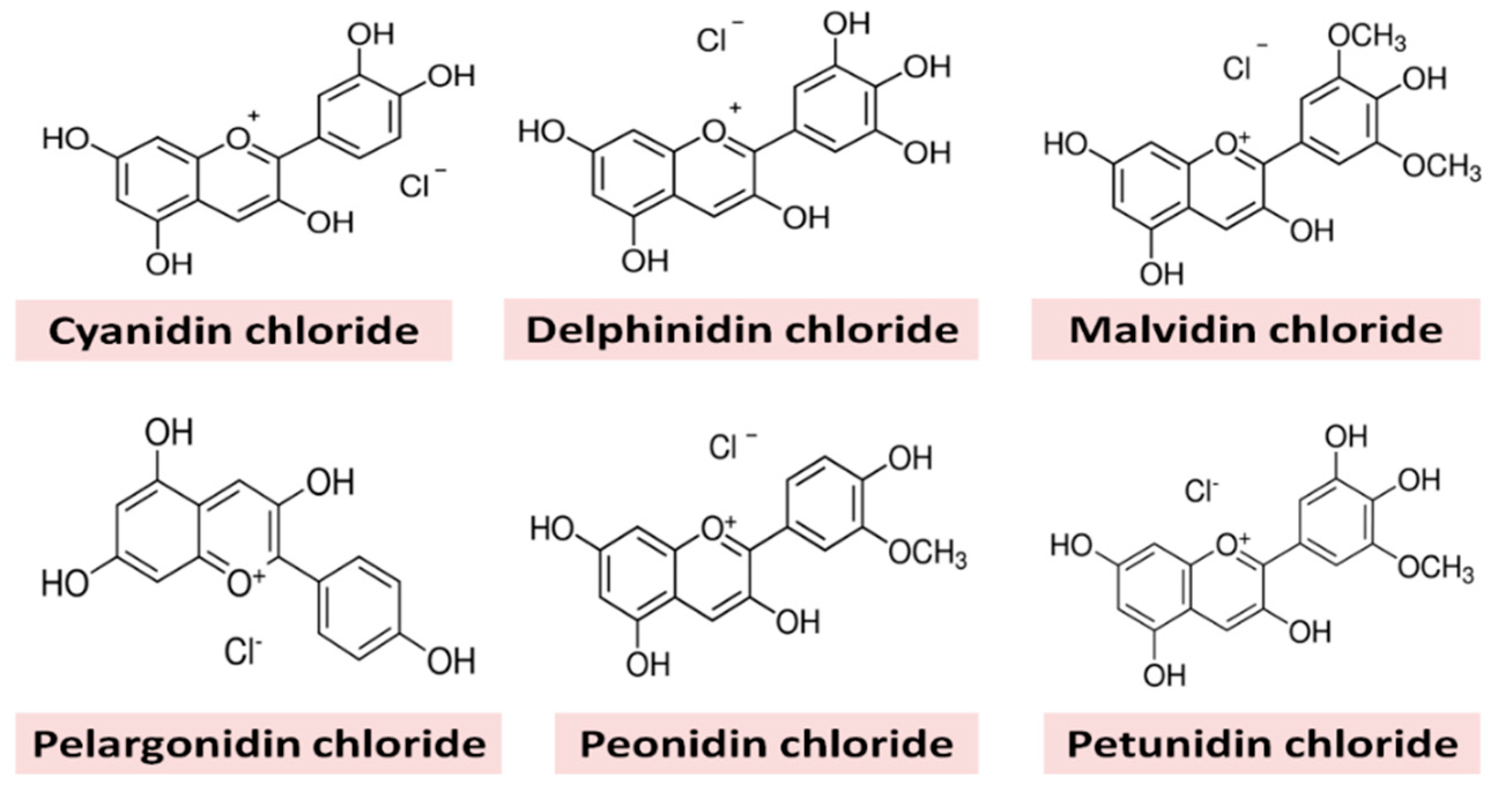 Molecules 25 05785 g001 Molecules 25 05785 g001