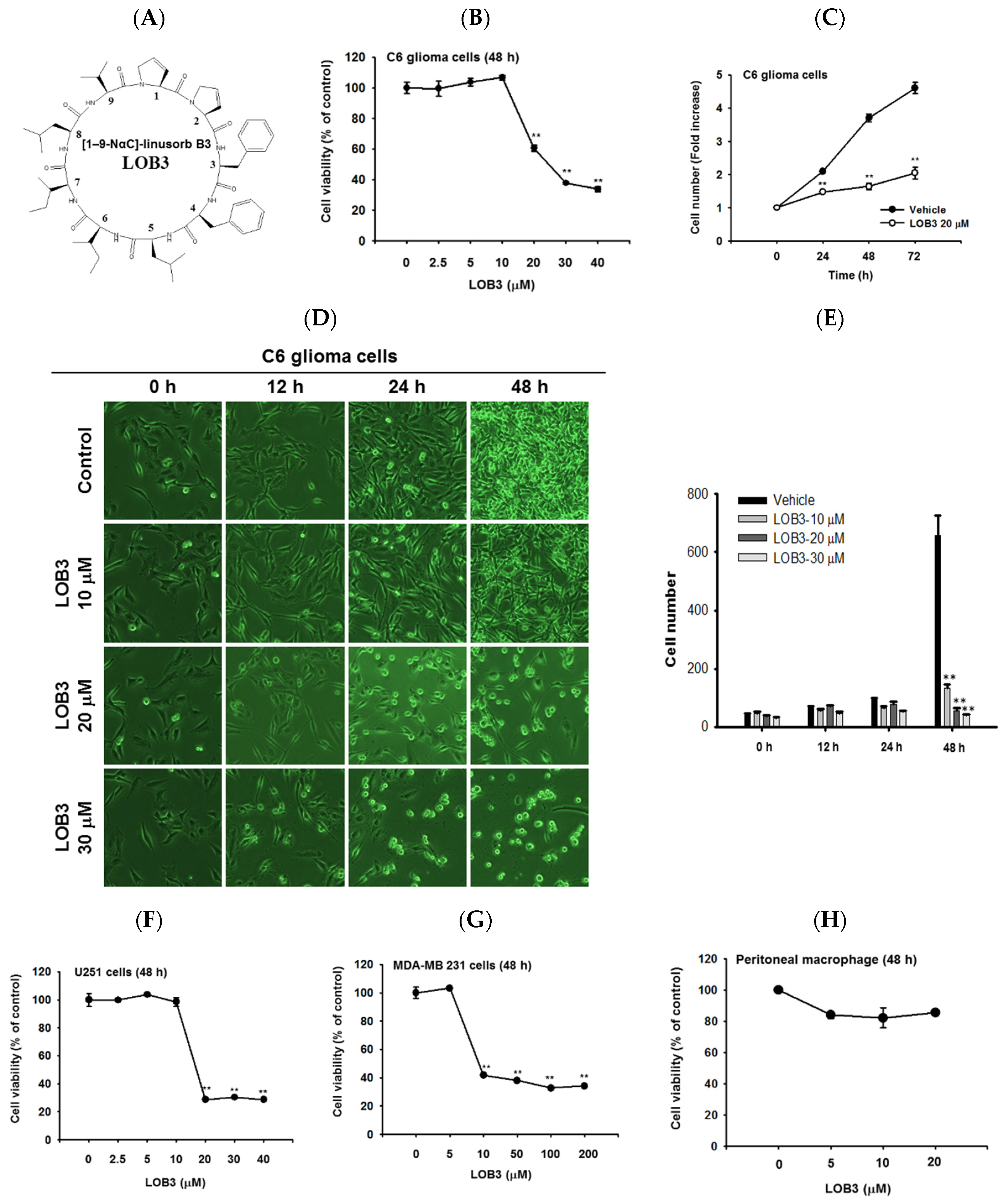 Molecules | Free Full-Text | The Anti-Cancer Effect of Linusorb B3 from  Flaxseed Oil through the Promotion of Apoptosis, Inhibition of Actin  Polymerization, and Suppression of Src Activity in Glioblastoma Cells