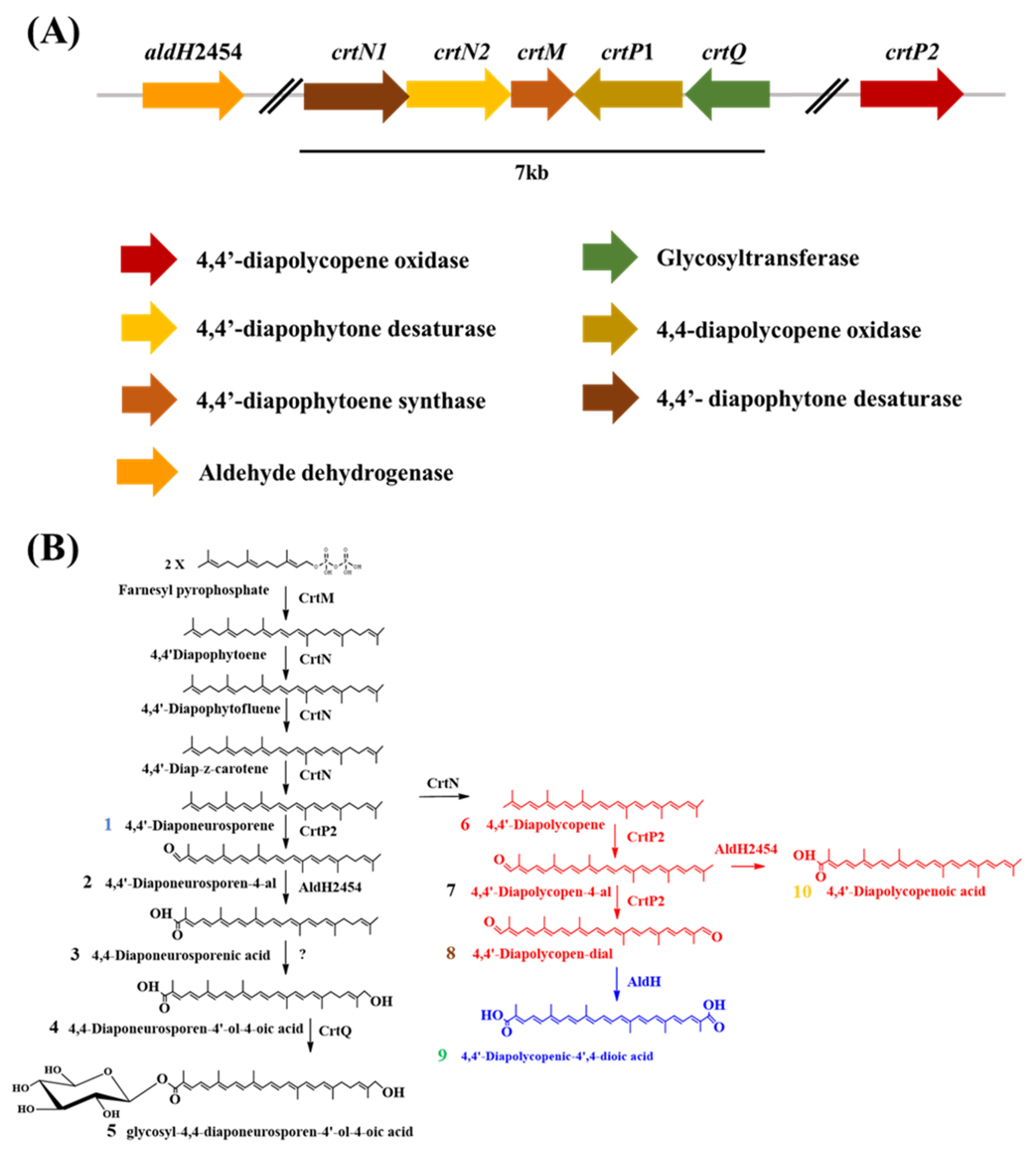 Molecules 25 05892 g001 Molecules 25 05892 g001