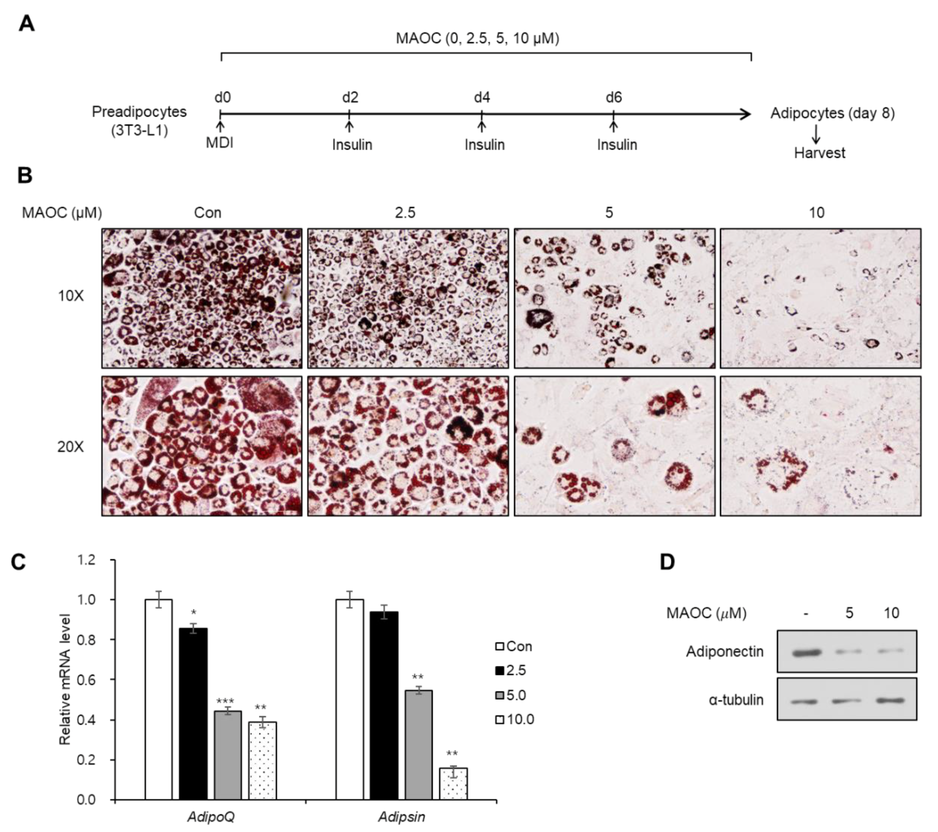 Molecules 25 05910 g002 Molecules 25 05910 g002