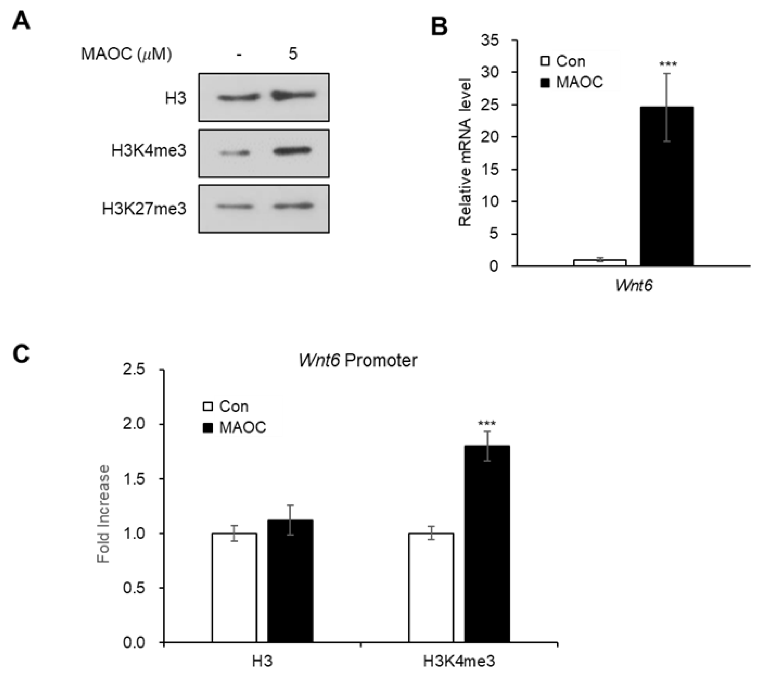 Molecules 25 05910 g004 Molecules 25 05910 g004