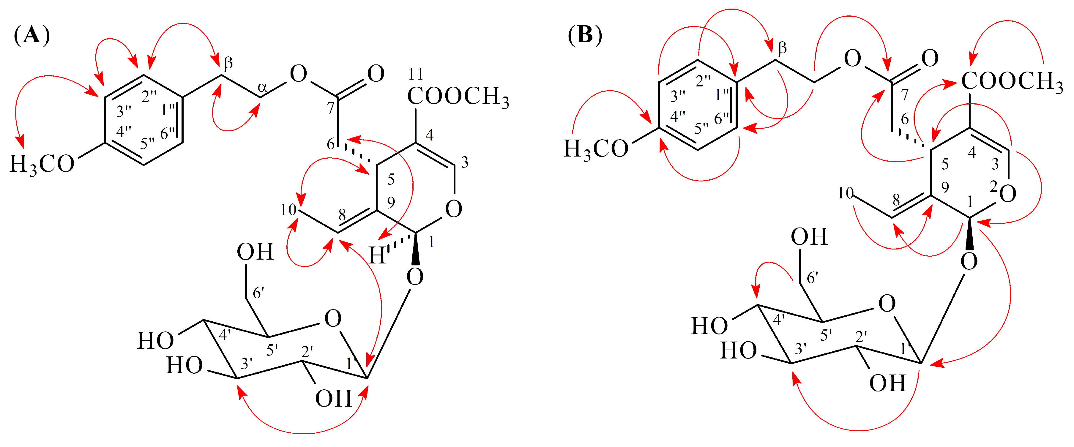 Molecules 25 05911 g002 Molecules 25 05911 g002
