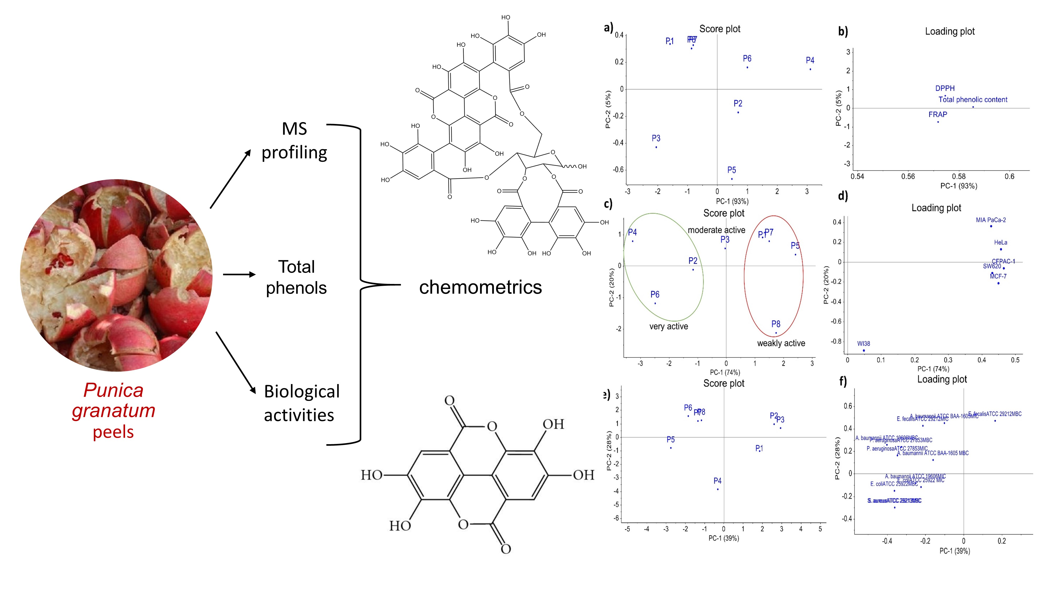 Molecules | Free Full-Text | Assessment of the Biological Activity and ...