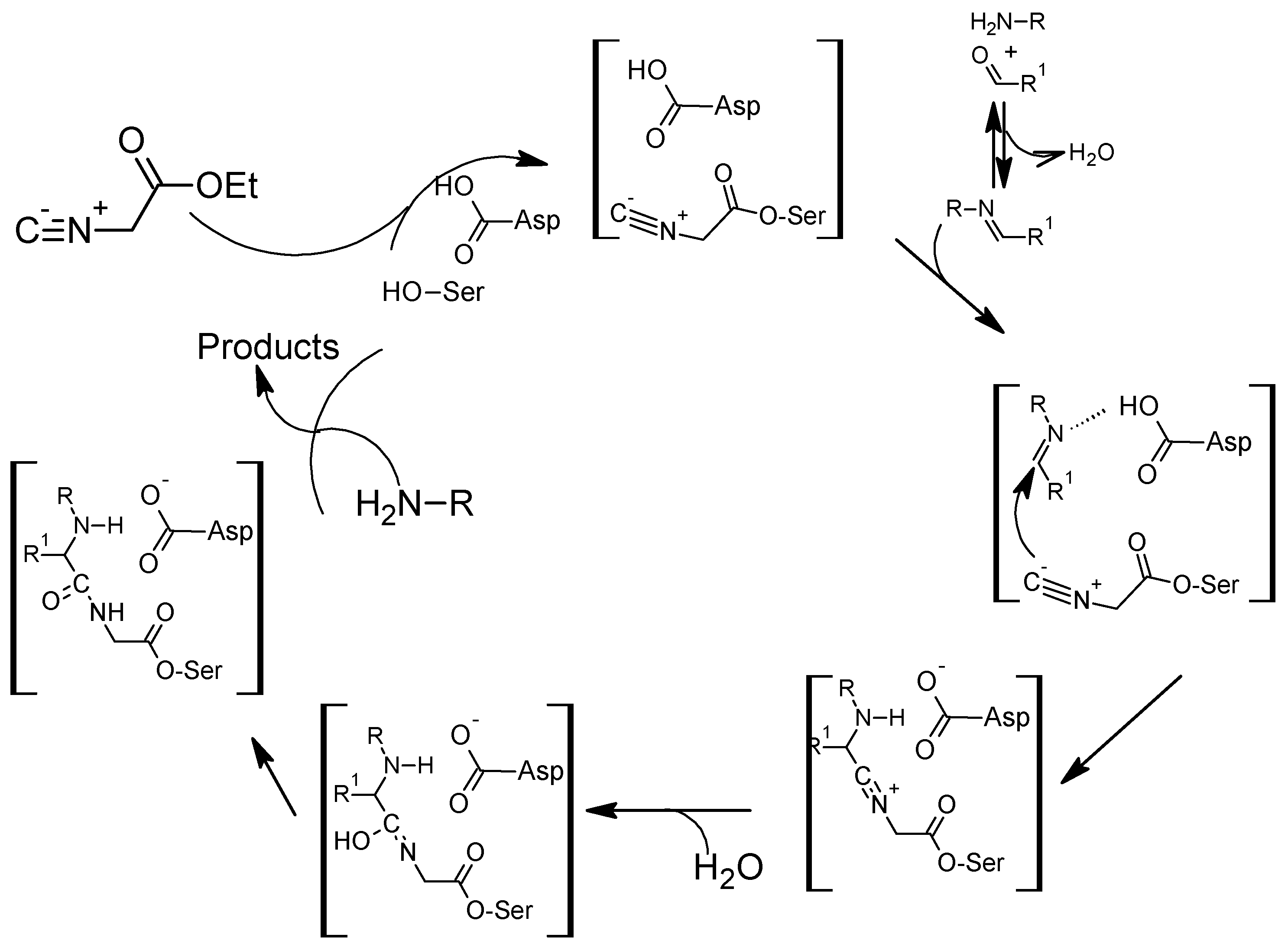 Molecules 25 05935 sch018 Molecules 25 05935 sch018