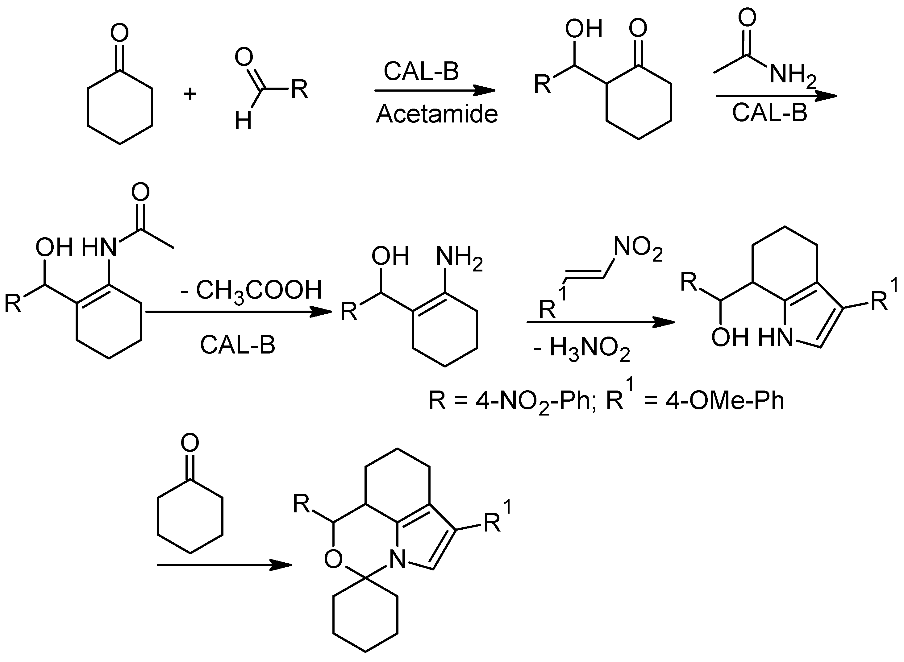 Molecules 25 05935 sch023 Molecules 25 05935 sch023